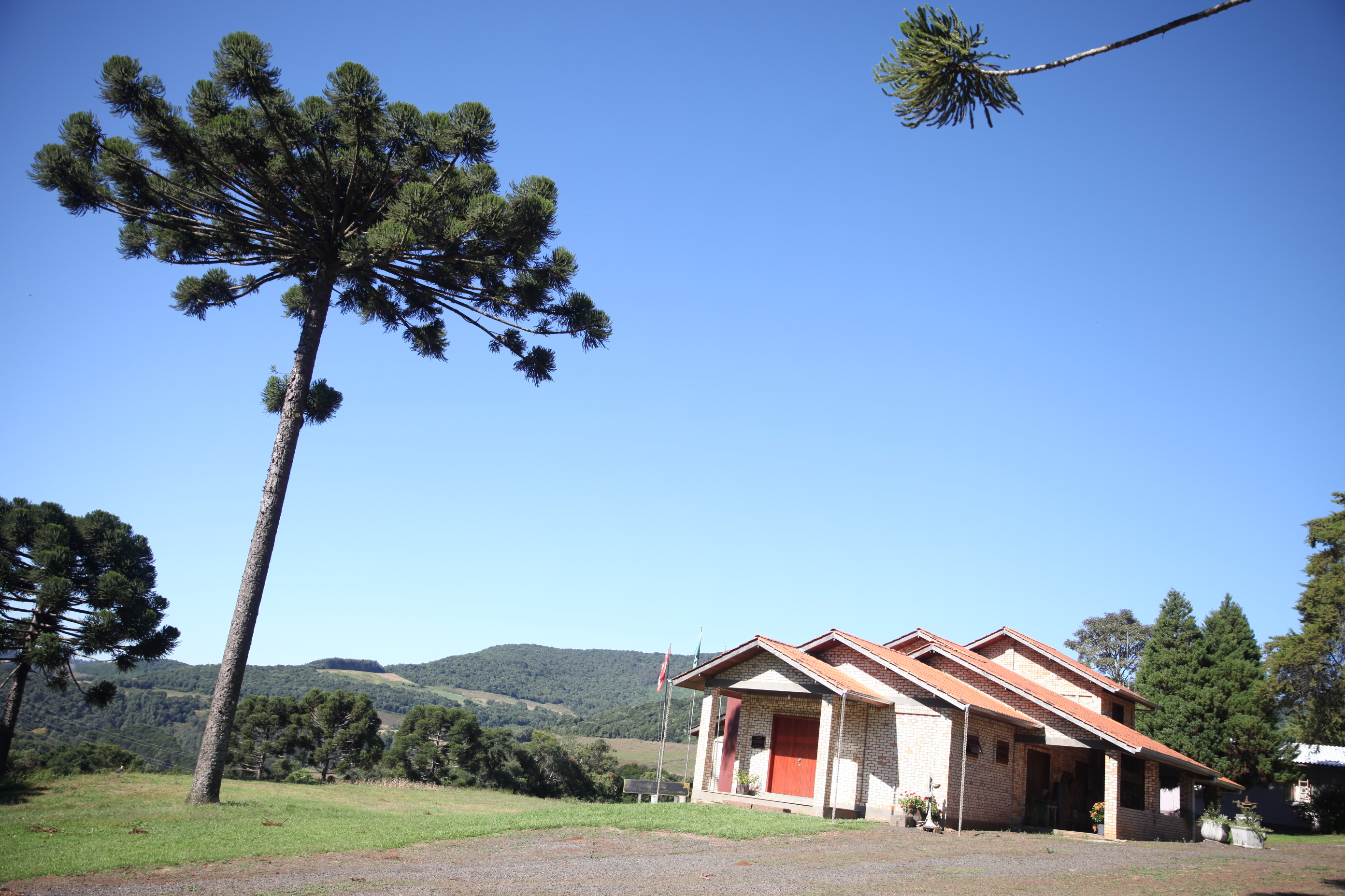 Vinícola 3. Foto: Fábio Queiroz / Agência AL