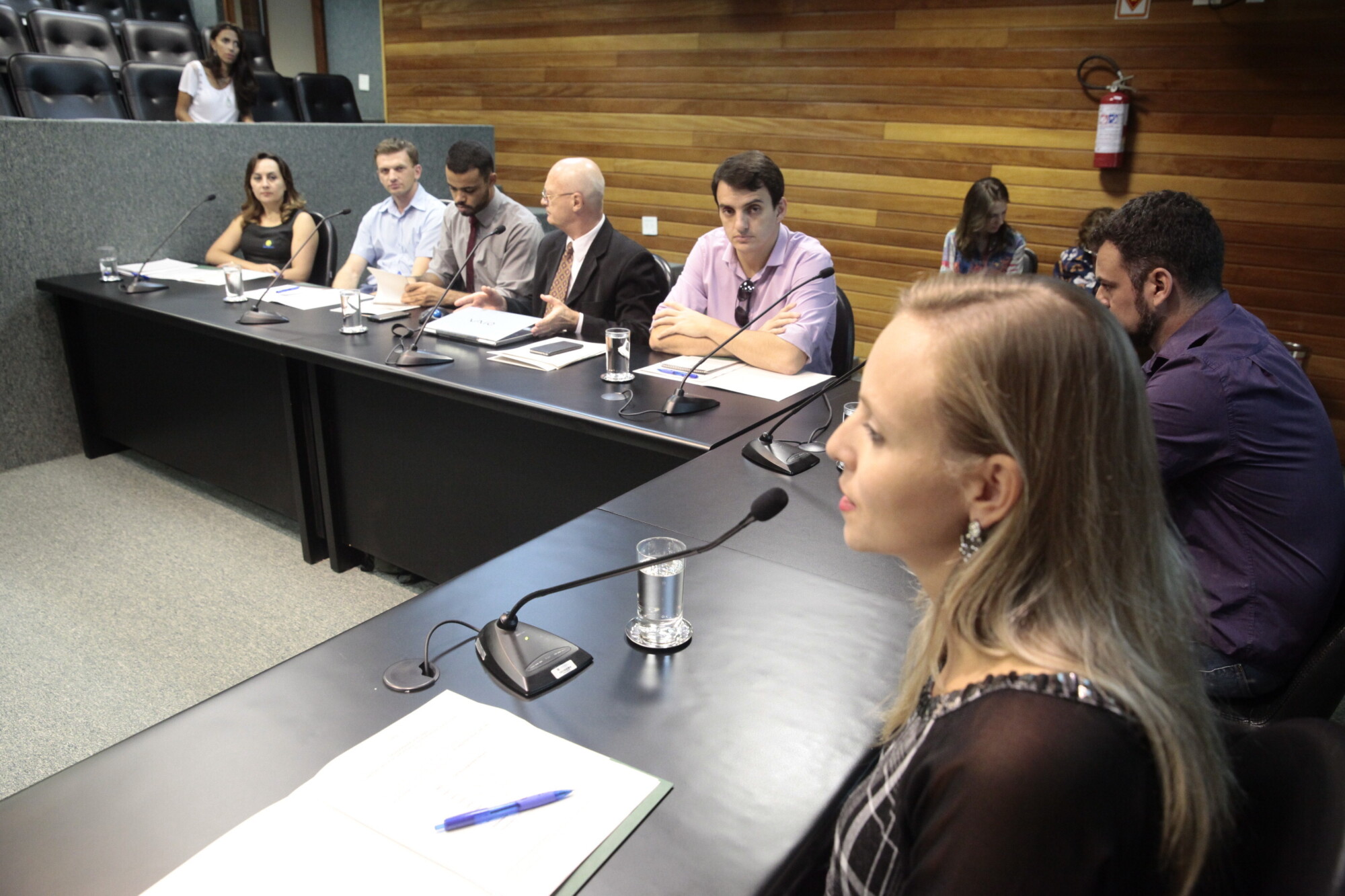 Adelita Adiers, presidente da comissão FOTO: Eduardo Guedes de Oliveira/Agência AL
