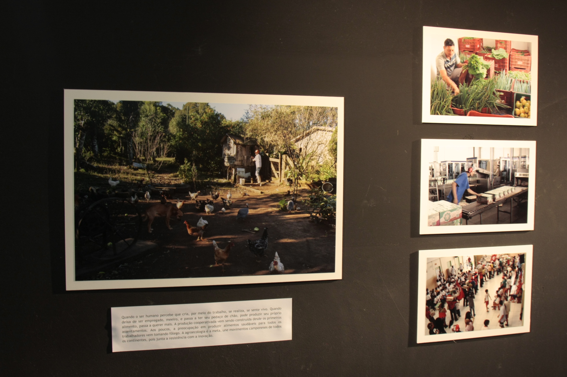 Exposição fotográfica MST/SC 30 anos. Foto:Yuri Santos / Agência AL