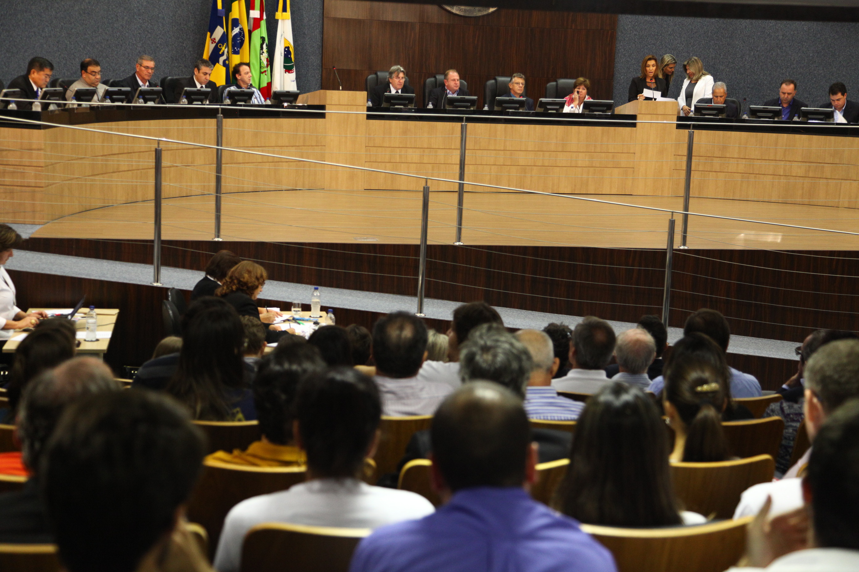 Audiência Pública - Unidade de Exploração e Produção Sul (UO-Sul)