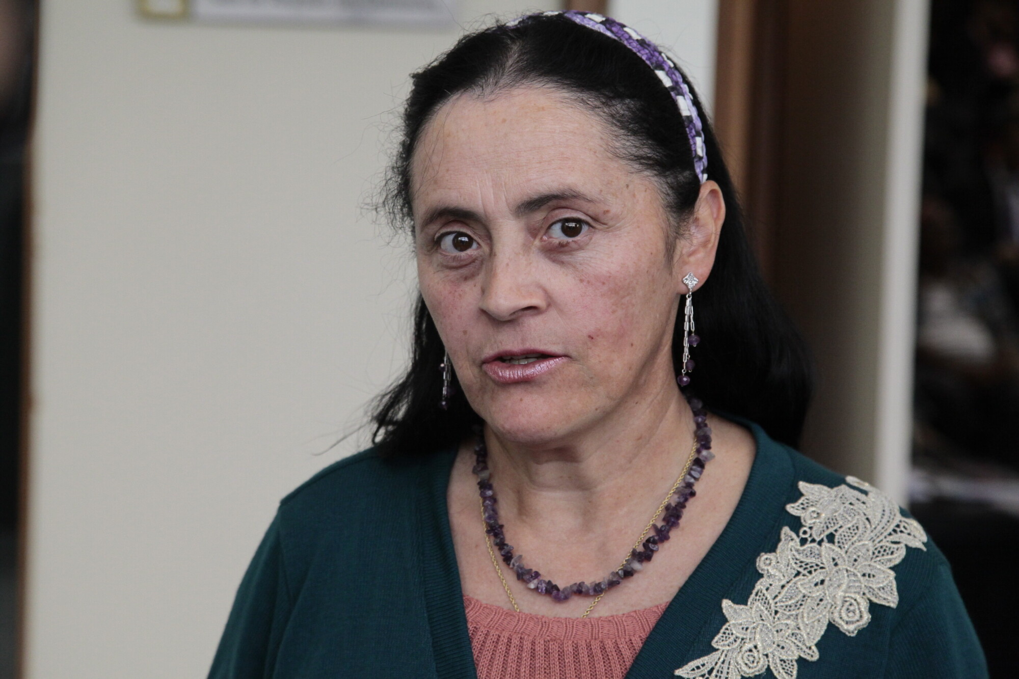 Erli Camargo, conselheira do Movimento Nacional dos Direitos Humanos FOTO: Miriam Zomer/Agência AL