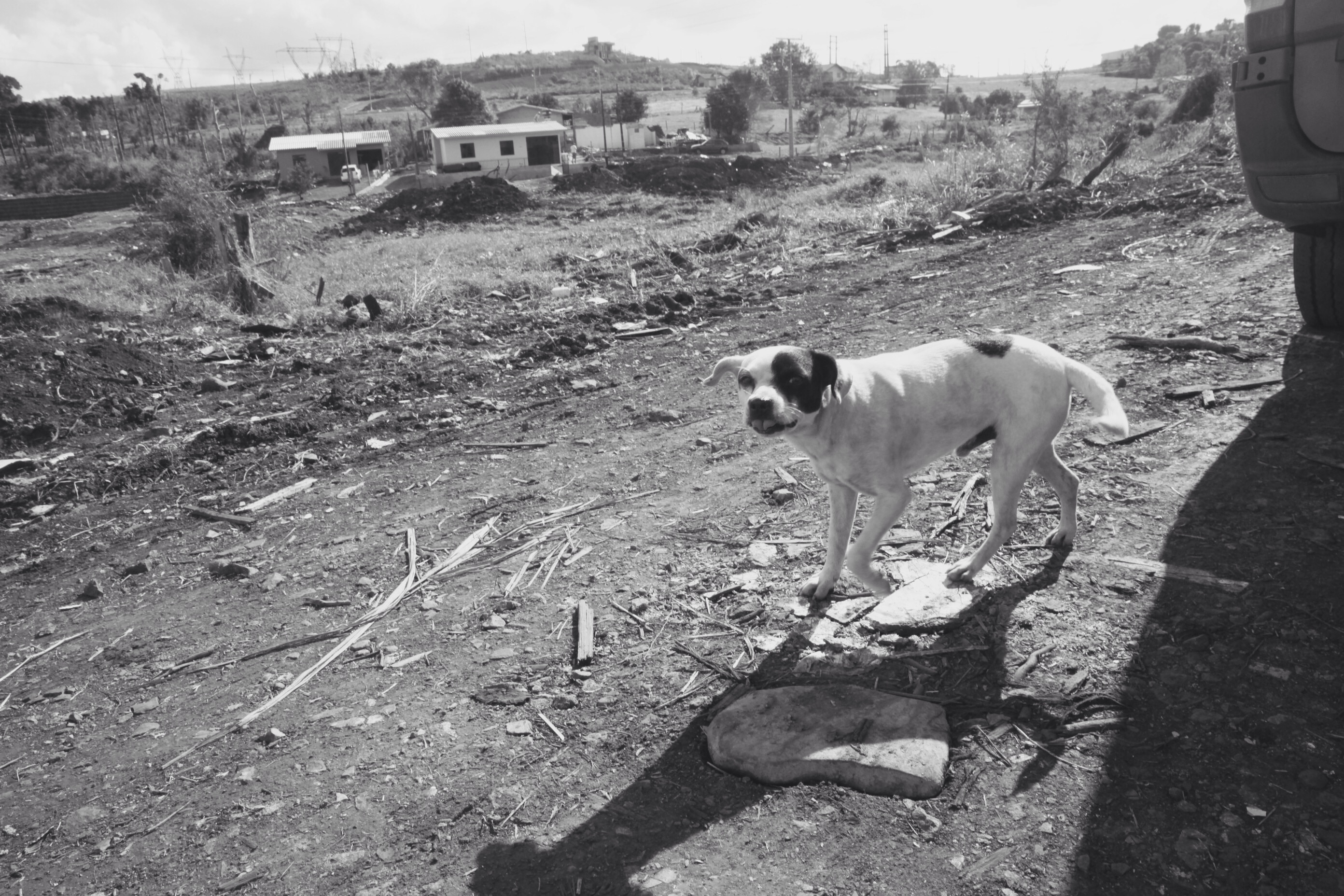 Xanxerê: Reconstrução. Foto: Fábio Queiroz / Agência AL