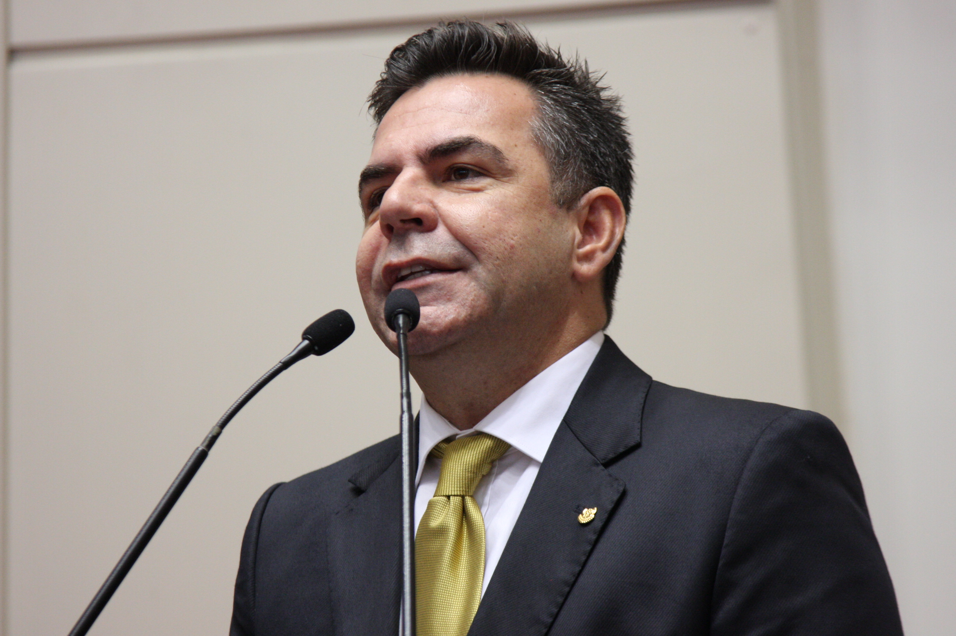 Sessão Plenária
