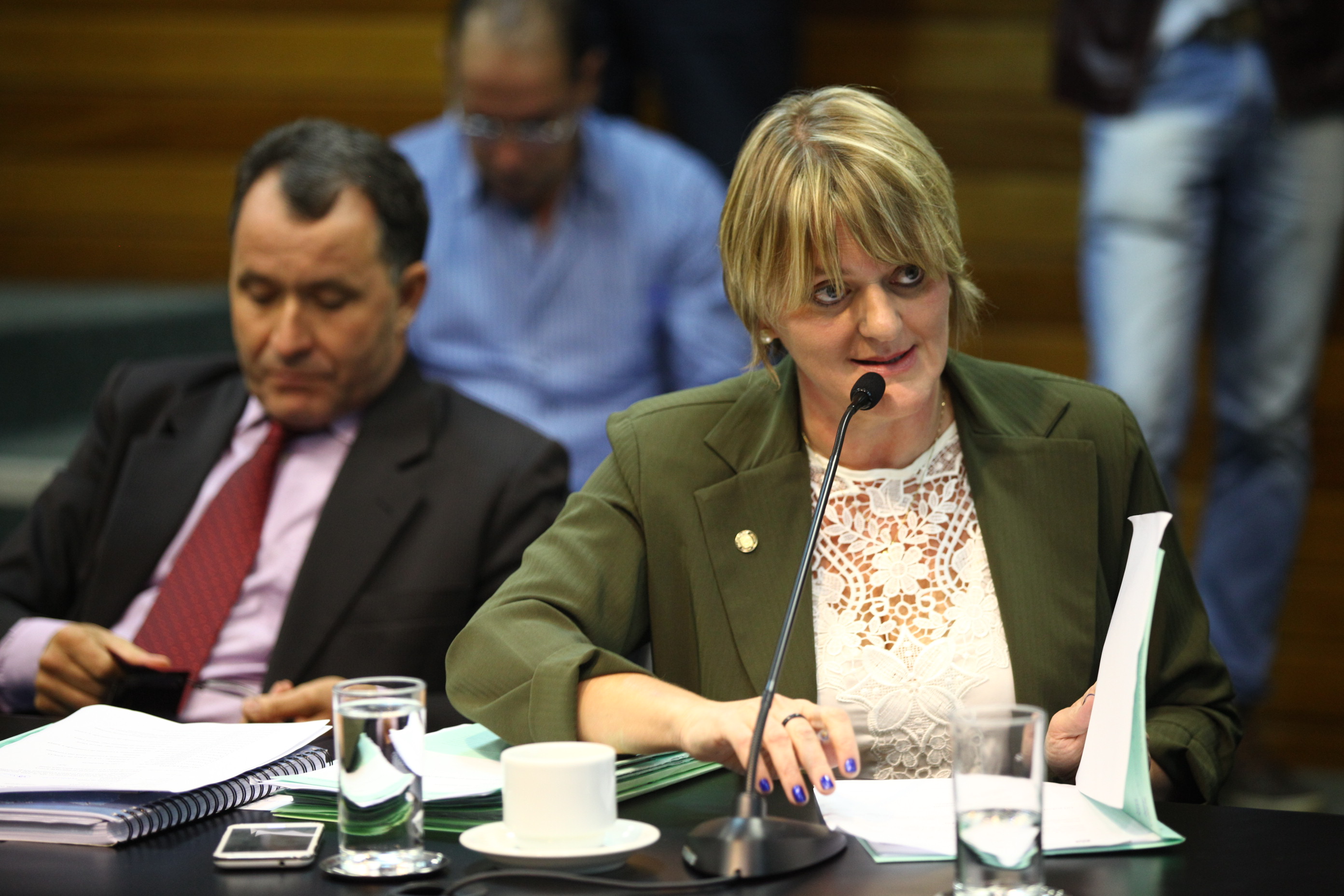 Comissão de Constituição e Justiça - Deputada Luciane Carminatti (PT). Foto: Solon Soares / Agência AL