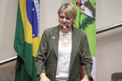 Deputada Luciane aprova audiência pública para discutir segurança em Chapecó
