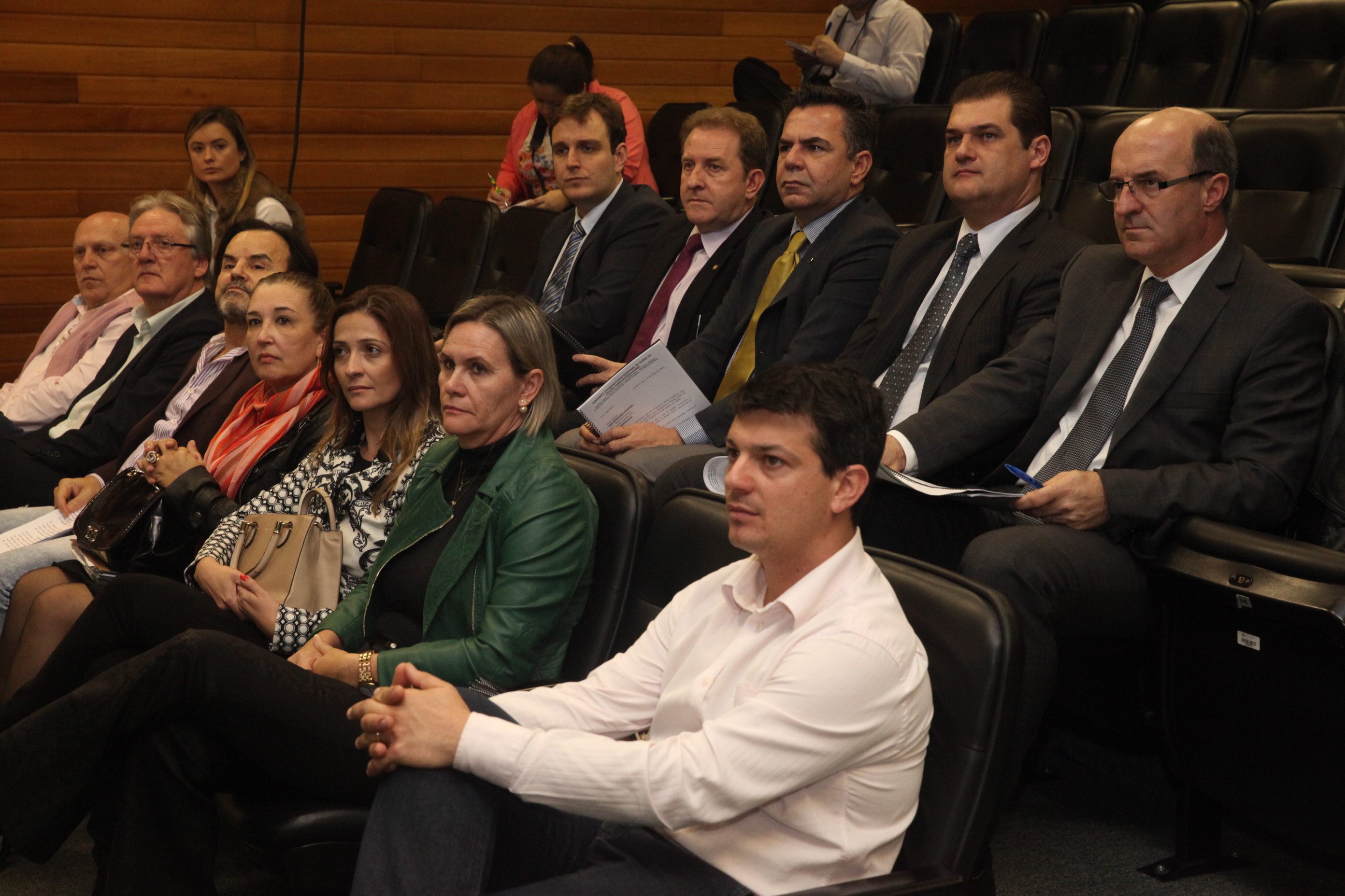 Reunião dos deputados da Bancada do Sul. Foto: Fábio Queiroz / Agência AL