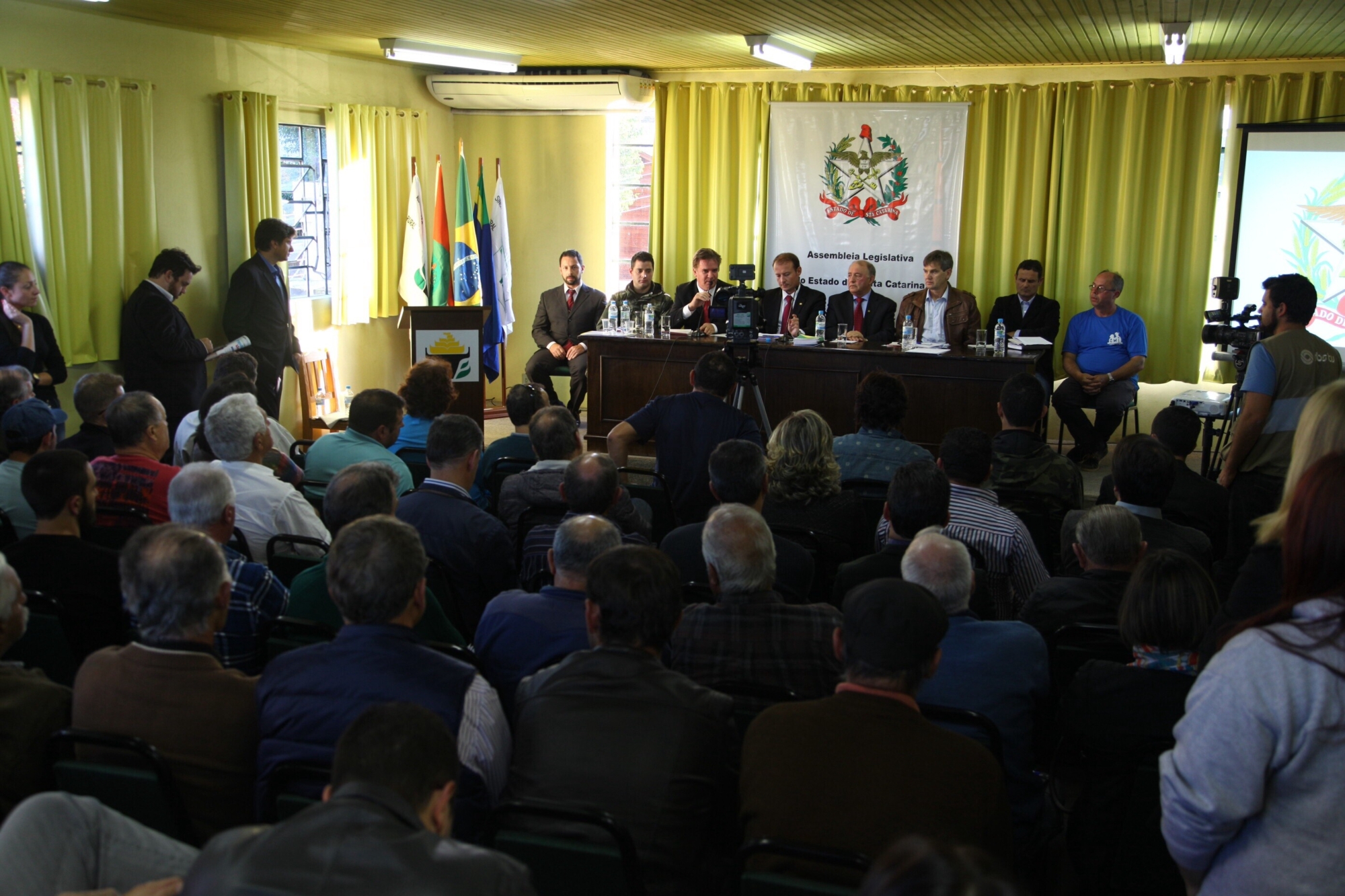 Javalis viram praga na Serra e causam prejuízos nas lavouras