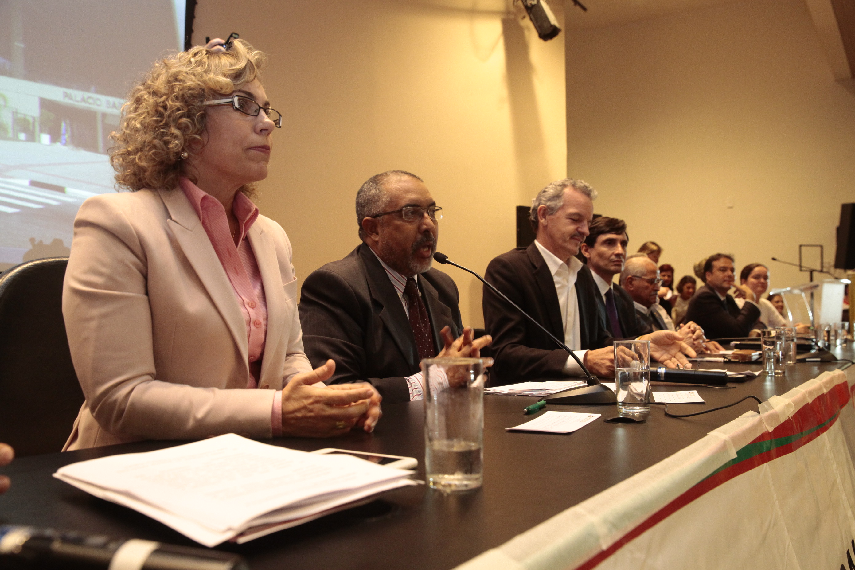 Audiência Pública sobre a Terceirização. Foto: Miriam Zomer/Agência AL
