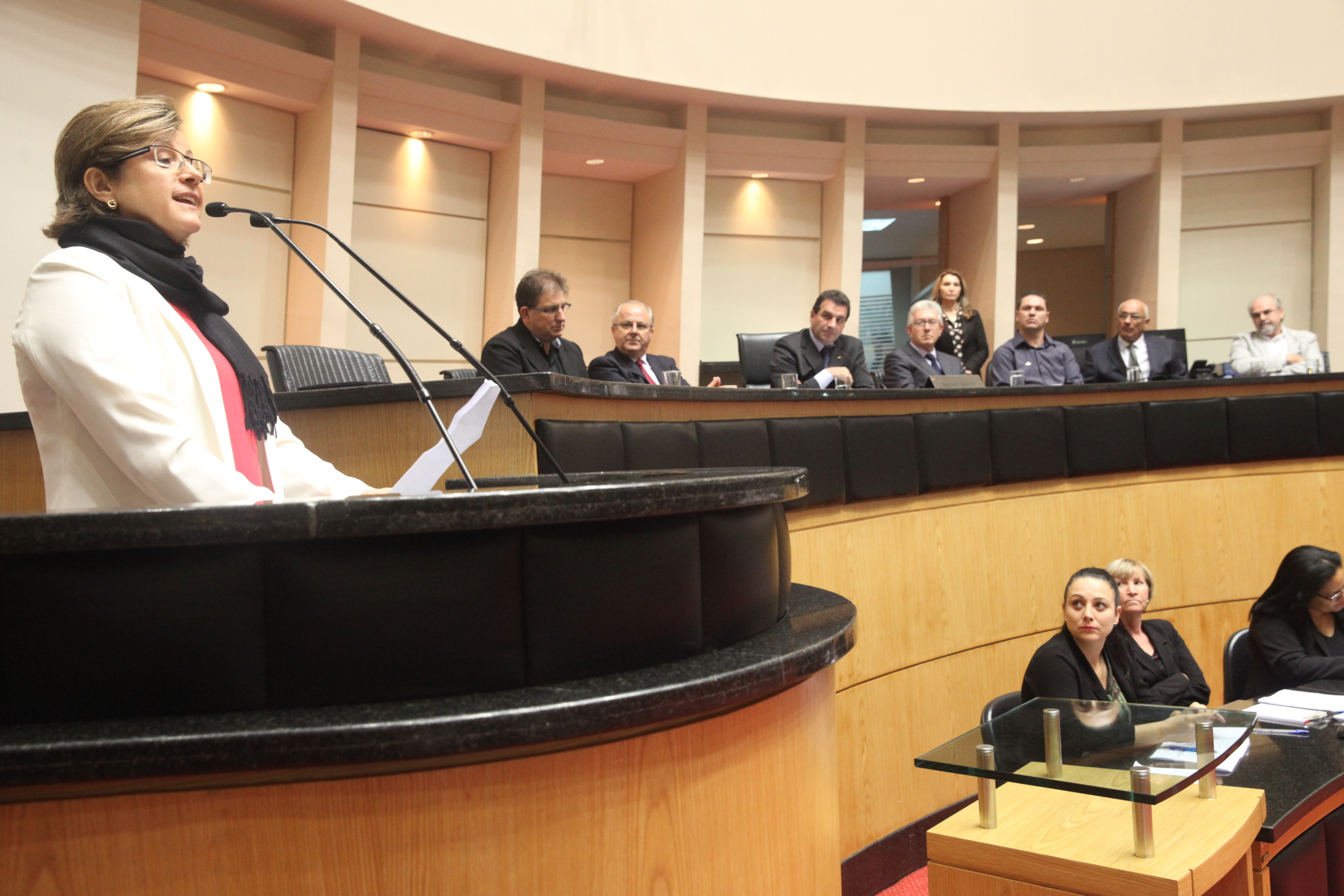 Sessão Especial em homenagem ao Instituto Parati. Foto: Fábio Queiroz / Agência AL