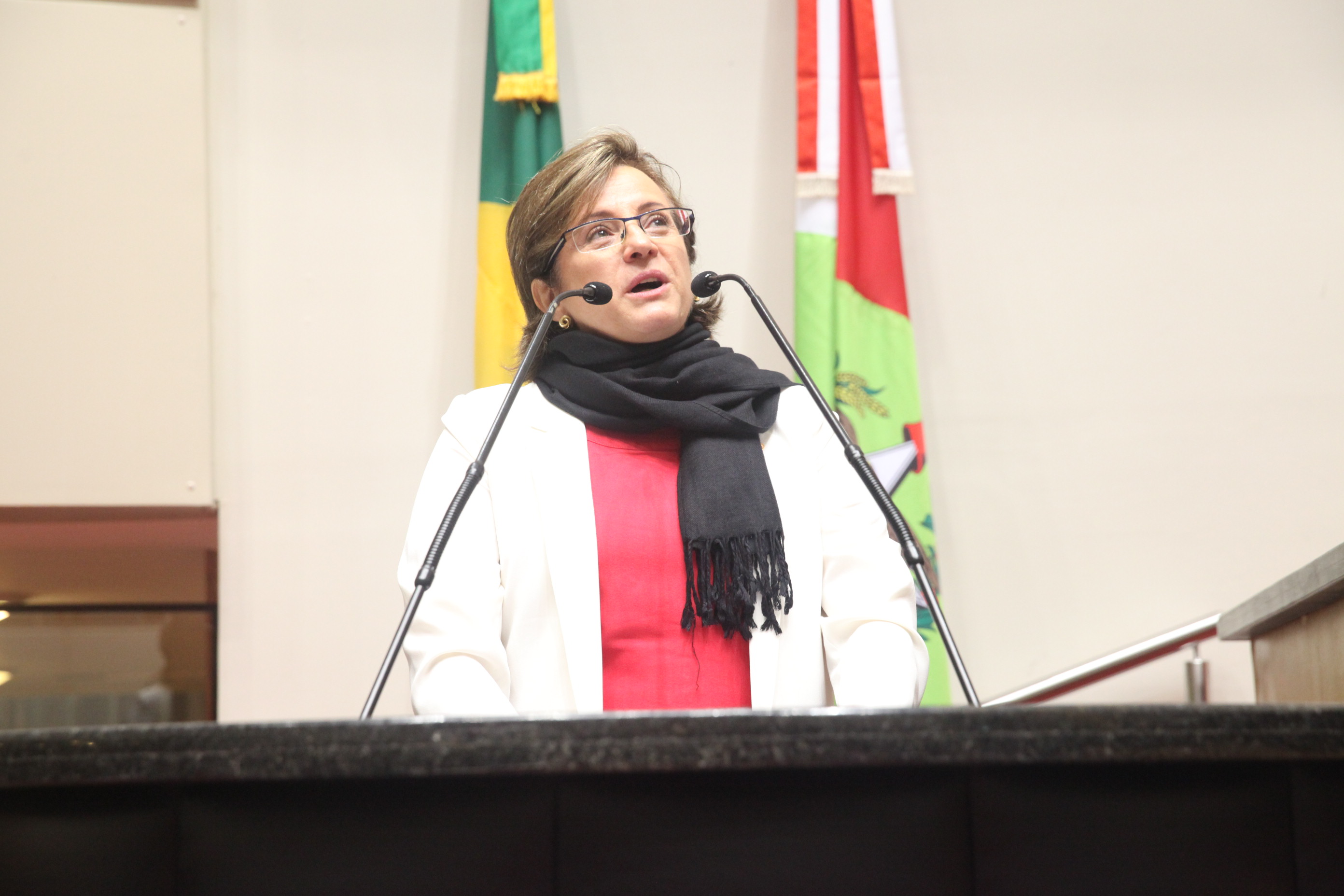 Marilu Fantin - representante do Instituto Parati. Sessão Especial em homenagem ao Instituto Parati. Foto: Fábio Queiroz / Agência AL