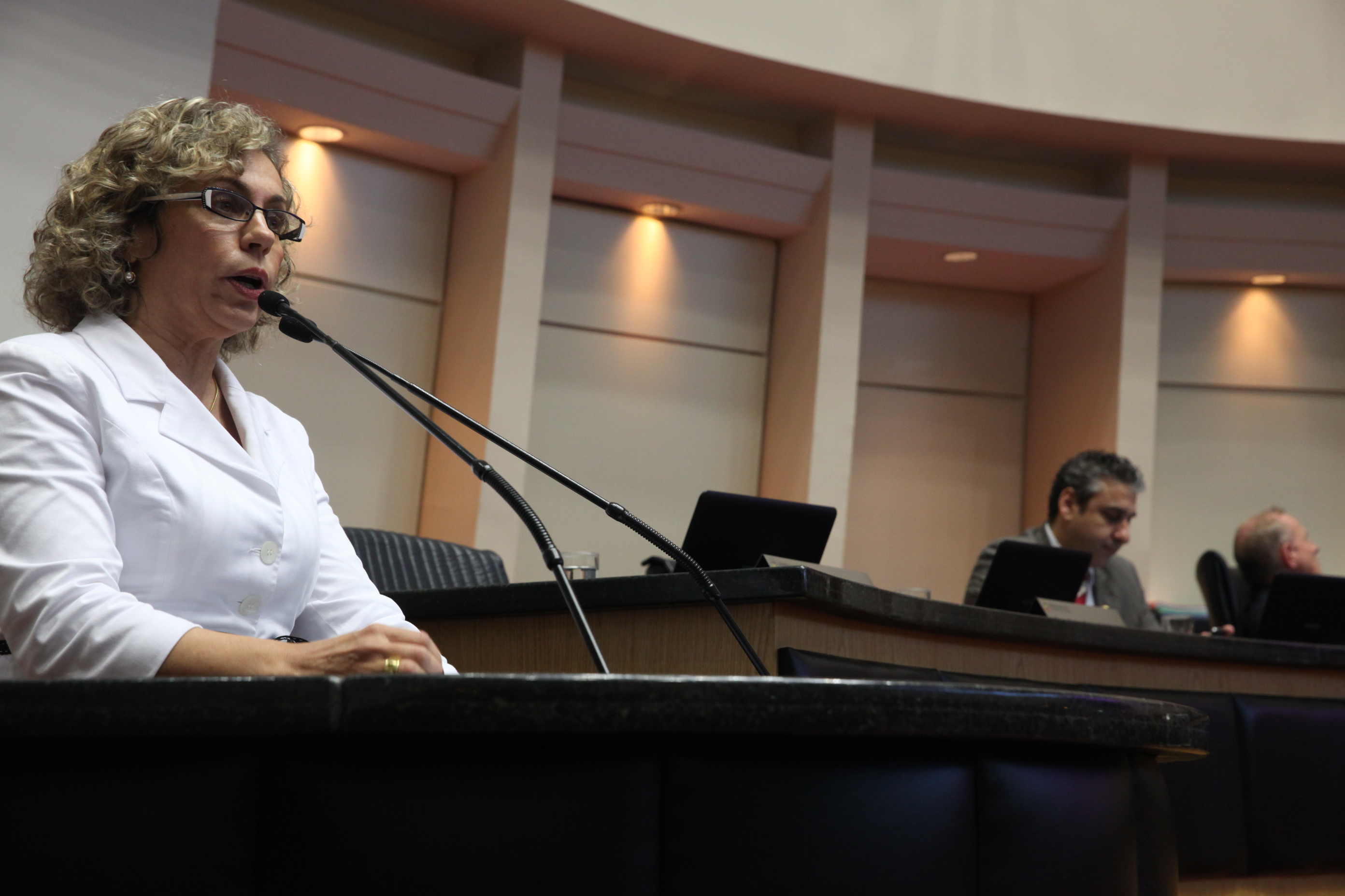 Sessão Plenária - Deputada Ana Paula Lima (PT)