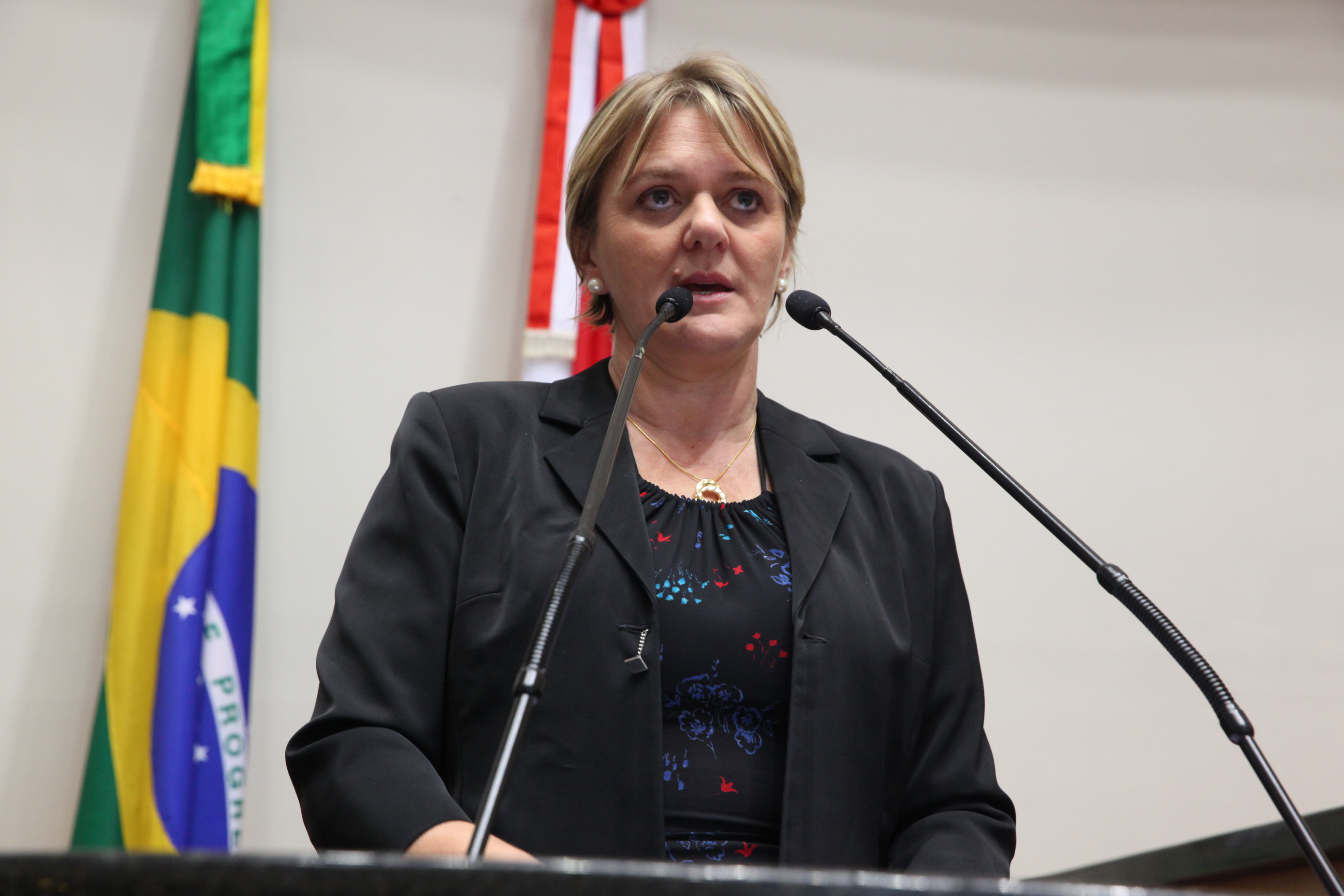 Plenario Dp Luciane Caminatti PT