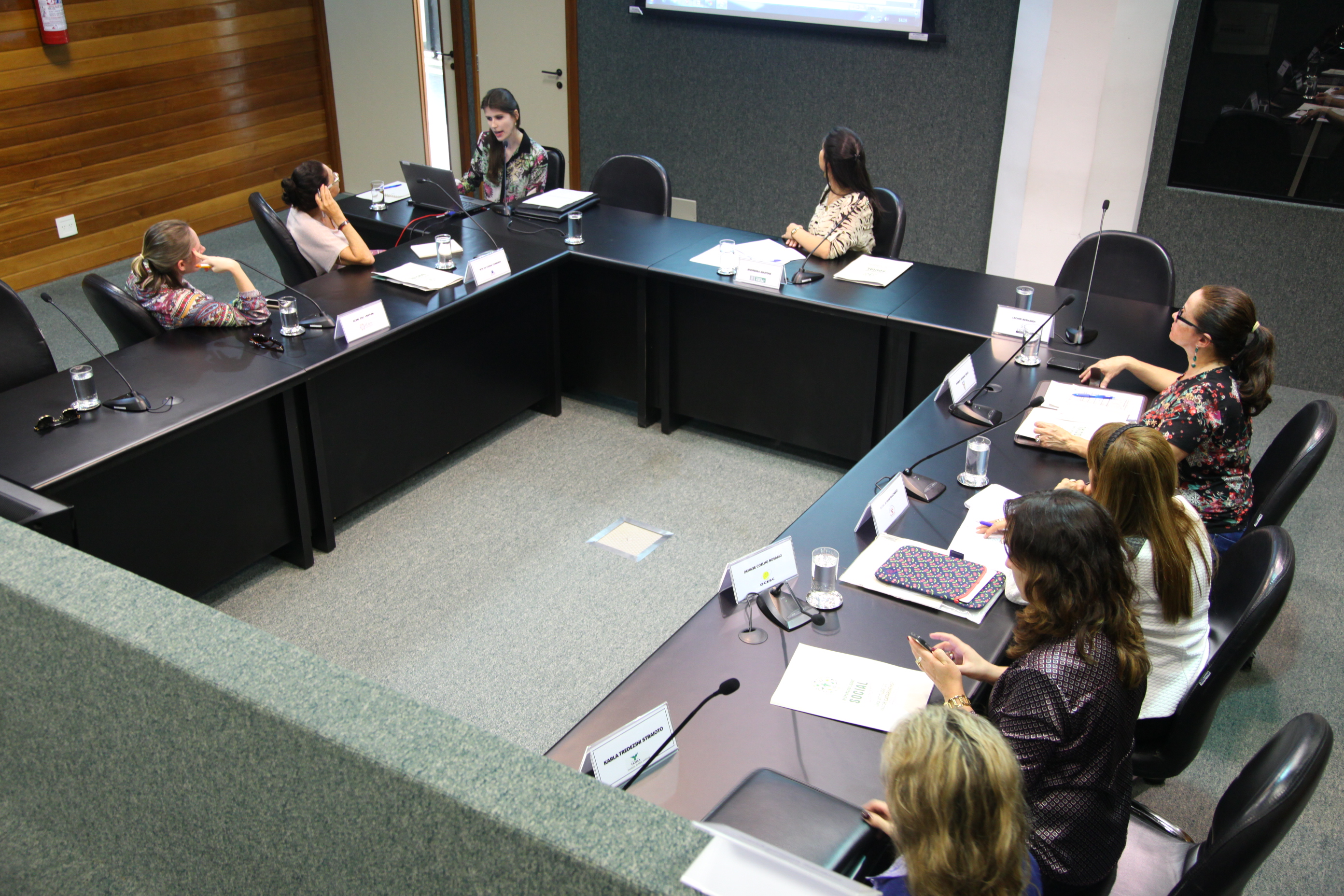 Reunião da Comissão de Responsabilidade Social. Foto: Eduardo Guedes de Oliveira/Agência AL