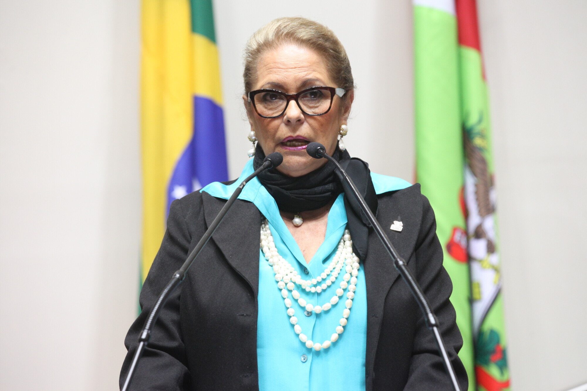Secretária Ada de Luca. Foto: Fábio Queiroz / Agência AL