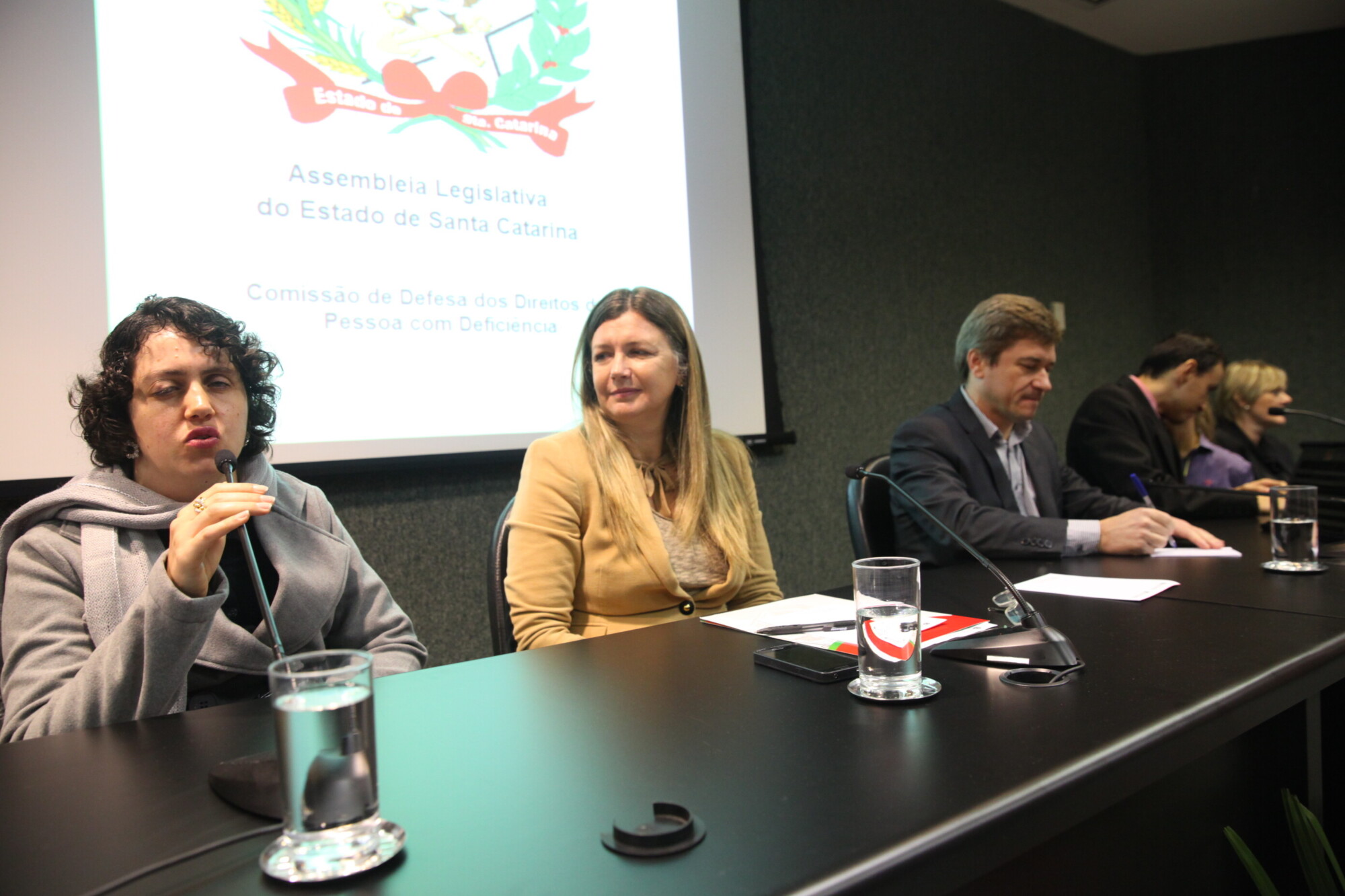 Violência contra a mulher com deficiência é debatida em fórum na Alesc
