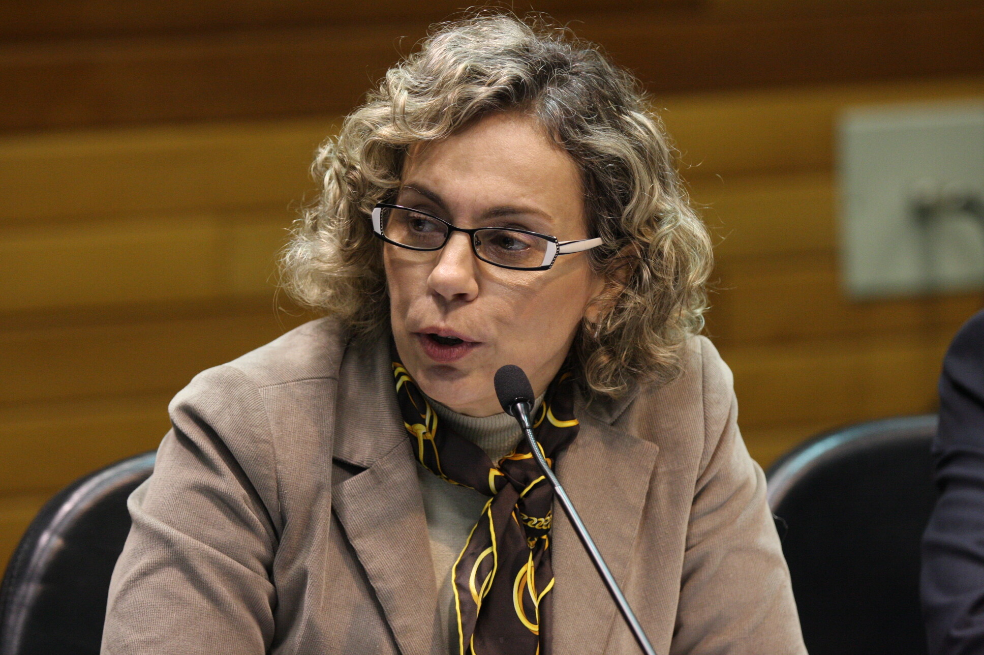Deputada Ana Paula Lima