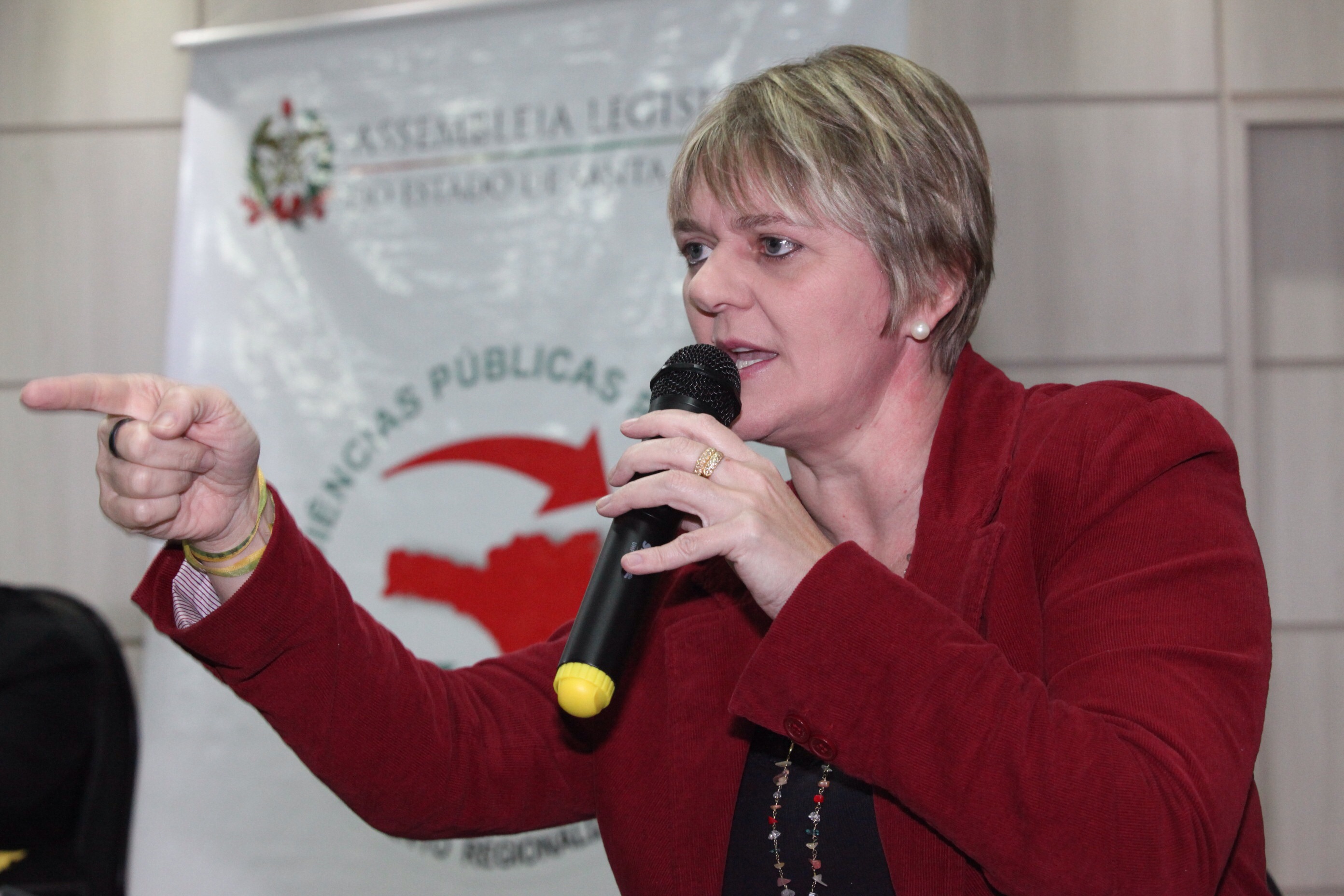 Orçamento Regionalizado - S. Lourenço d'Oeste. Foto: Fábio Queiroz / Agência AL