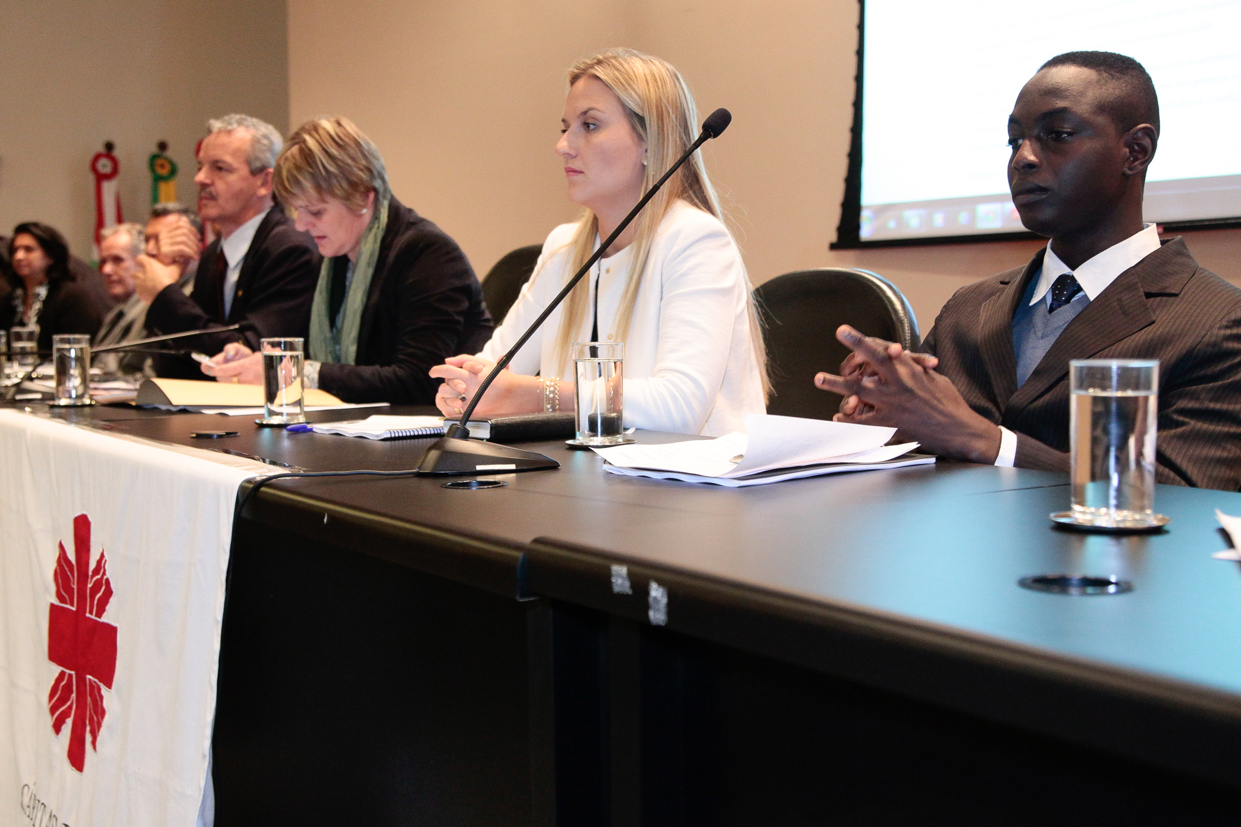 Audiência Pública sobre a Situação Social dos Haitianos no Brasil. Foto: Miriam Zomer/Agência AL