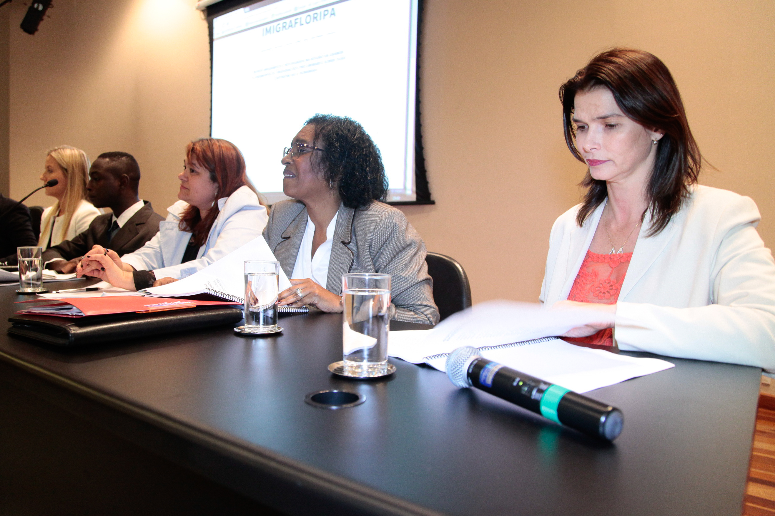 Audiência Pública sobre a Situação Social dos Haitianos no Brasil. Foto: Miriam Zomer/Agência AL