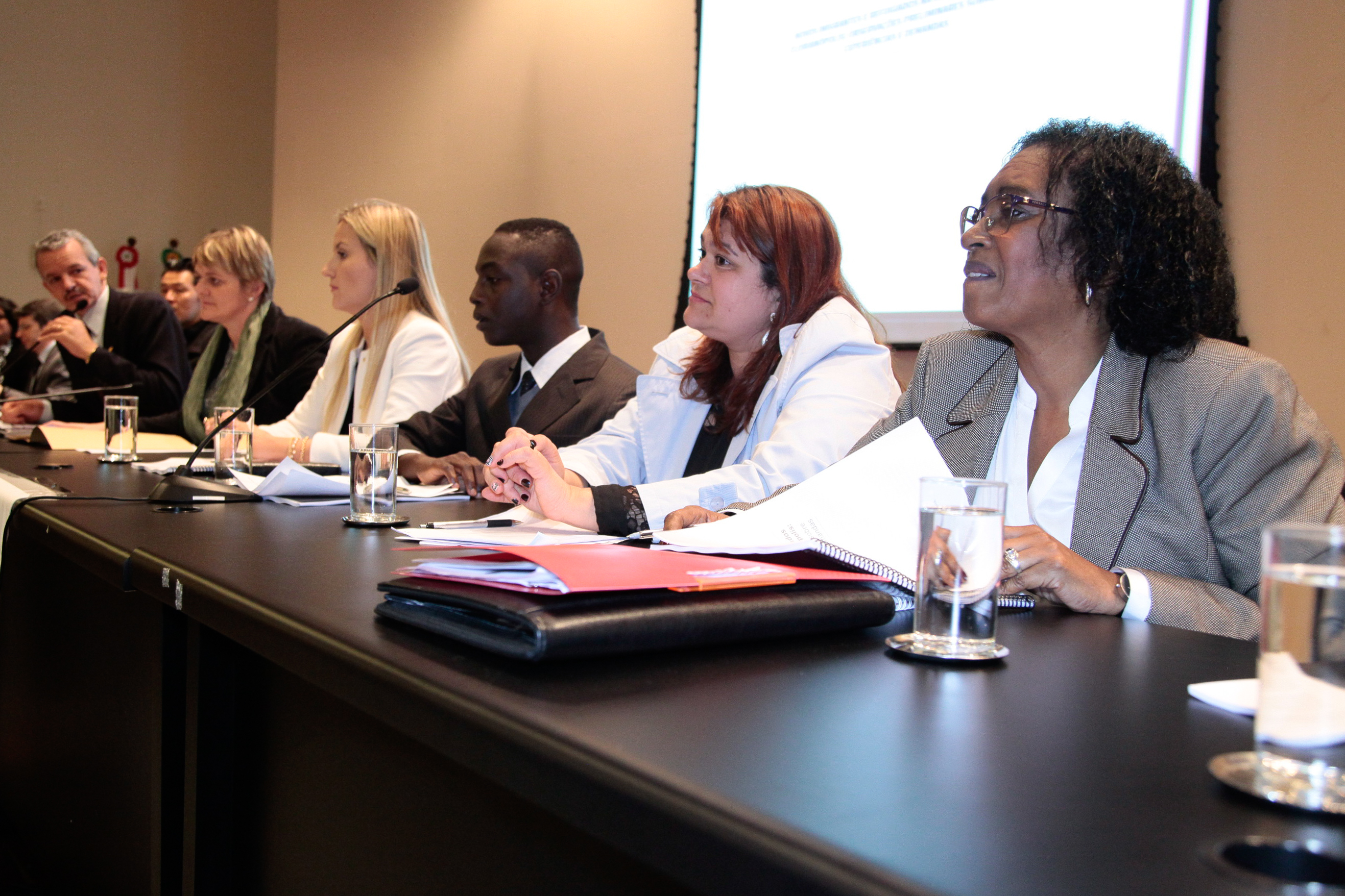 Audiência Pública sobre a Situação Social dos Haitianos no Brasil. Foto: Miriam Zomer/Agência AL