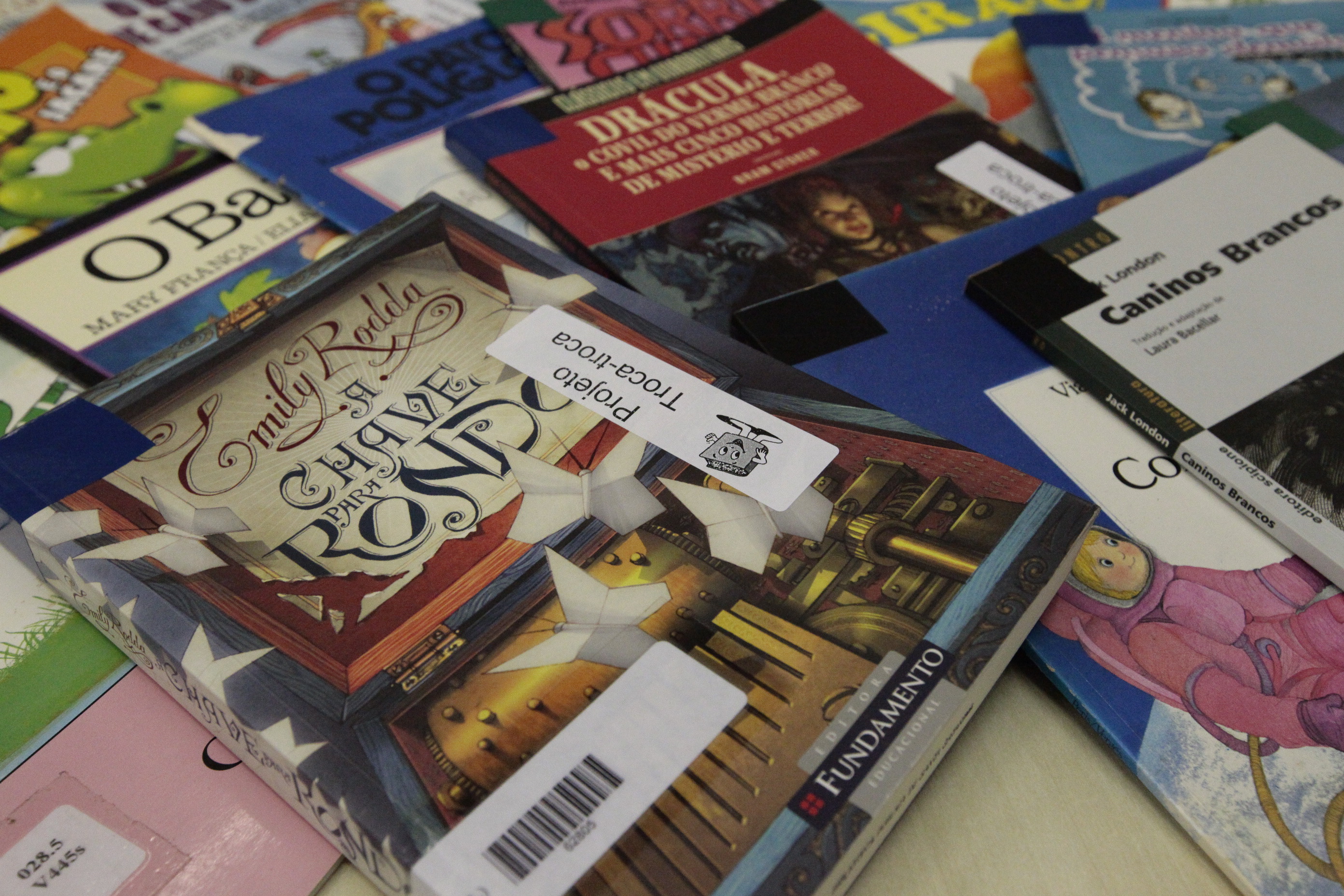 Projeto Troca-Troca de Livros Infanto-juvenis Biblioteca Pública De Santa Catarina. Foto: Laís Amorim / Agência AL