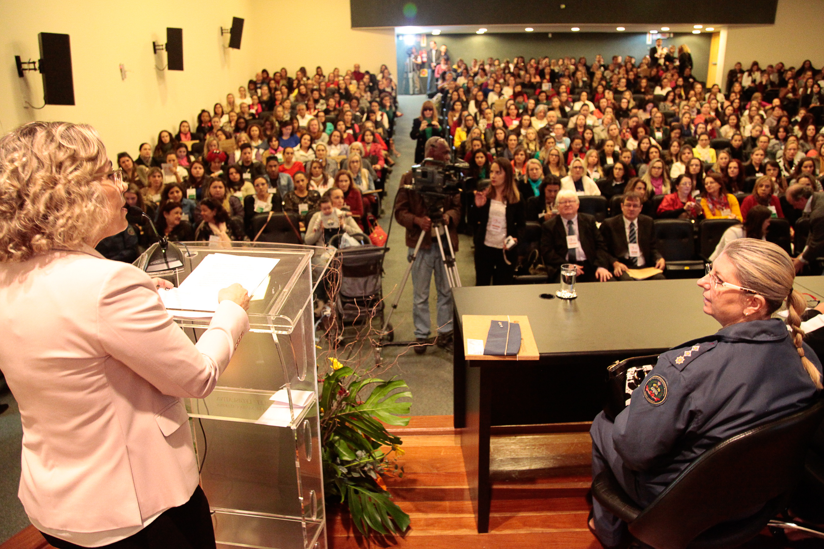 1º Congresso Nacional sobre o Parto Humanizado. Foto: Miriam Zomer/Agência AL