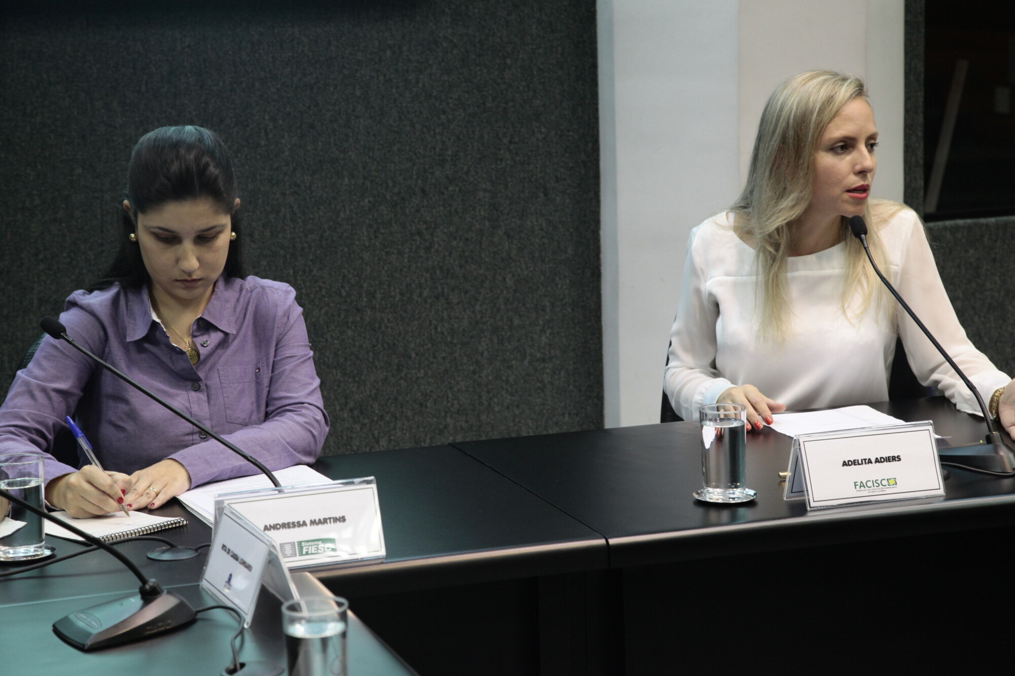 Ao microfone Adelita Adiers, presidente da comissão e representante da Facisc