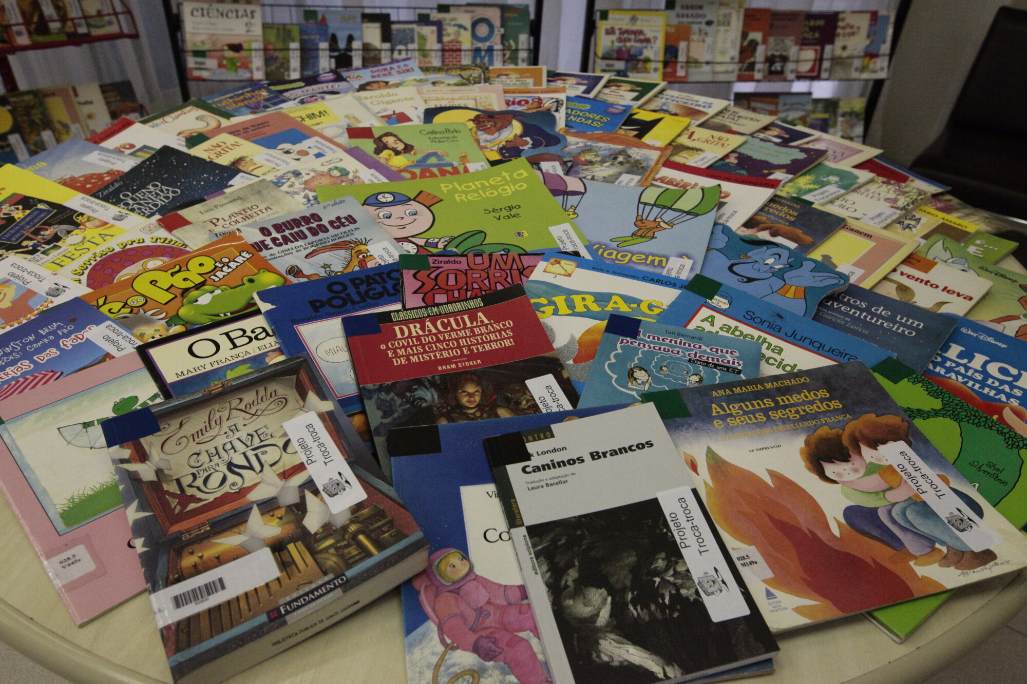 Biblioteca Pública de Santa Catarina promove troca de livros infantojuvenis