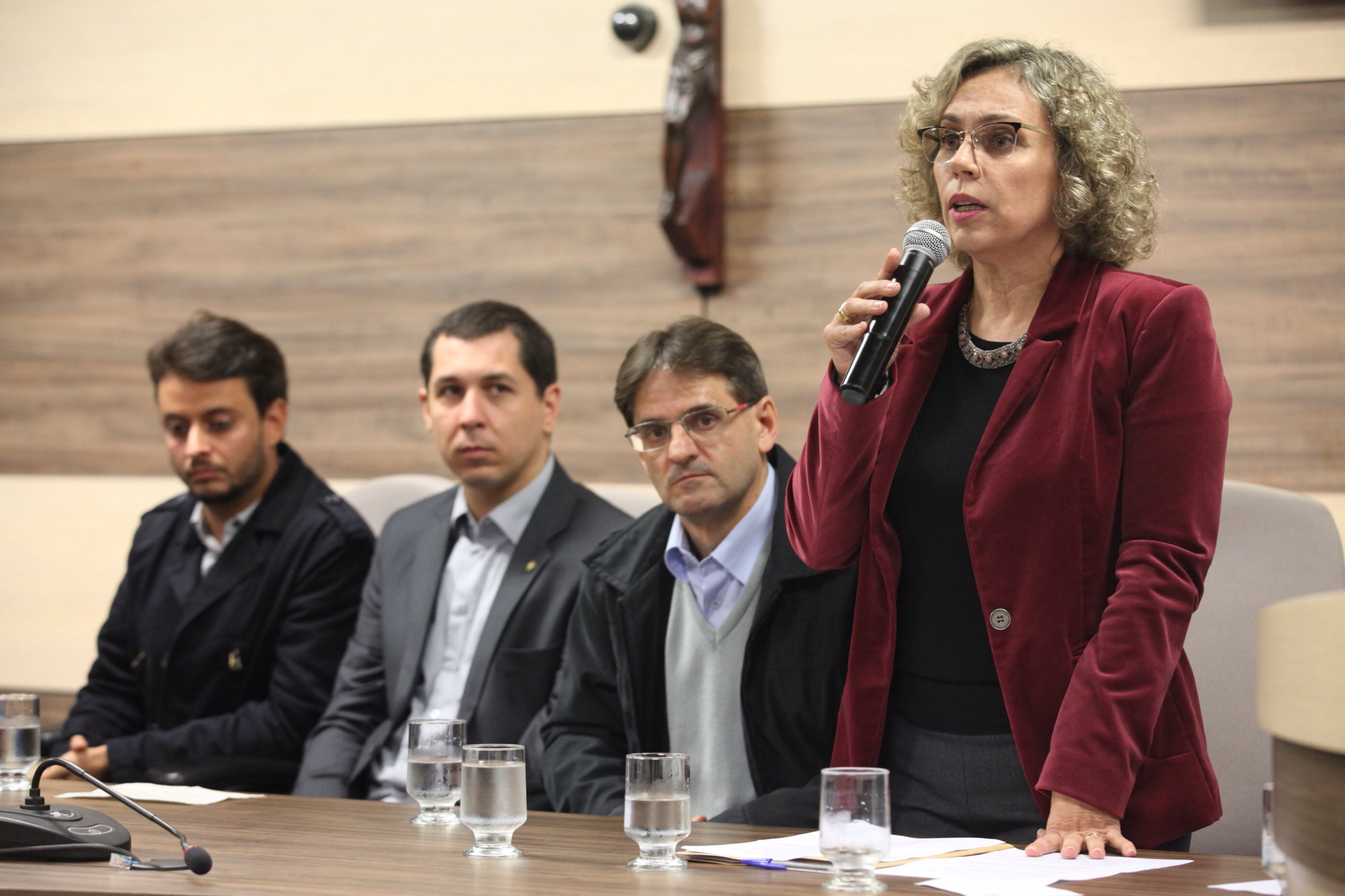 Orçamento Regionalizado - Brusque. Foto: Fábio Queiroz / Agência AL