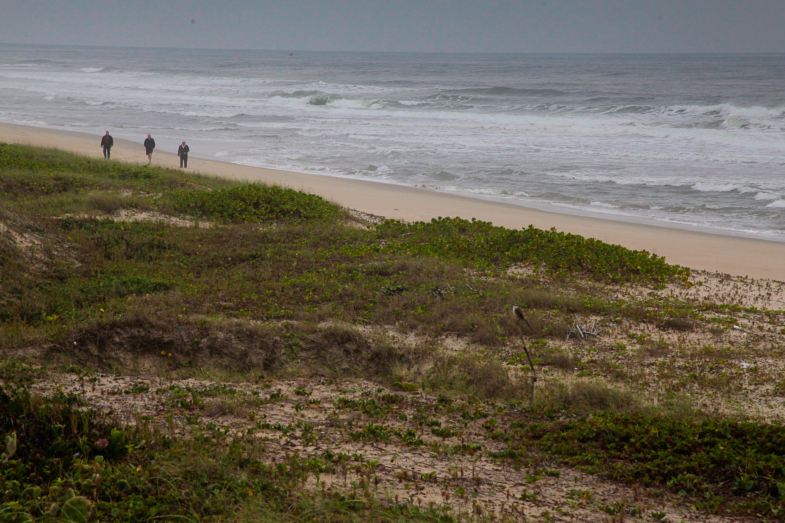 Programa Lar Legal - Praia do Ervino - São Francisco do Sul. Fotos: Miriam Zomer/Agência AL