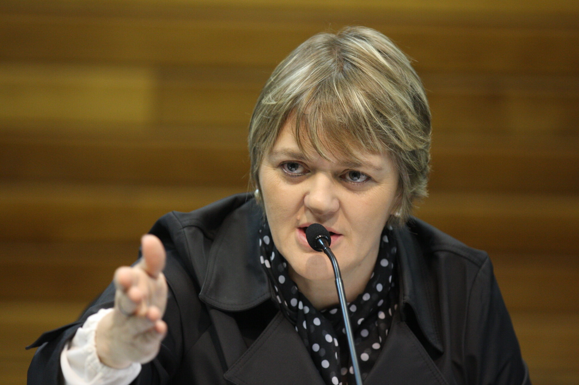 Deputada Luciane Carminatti