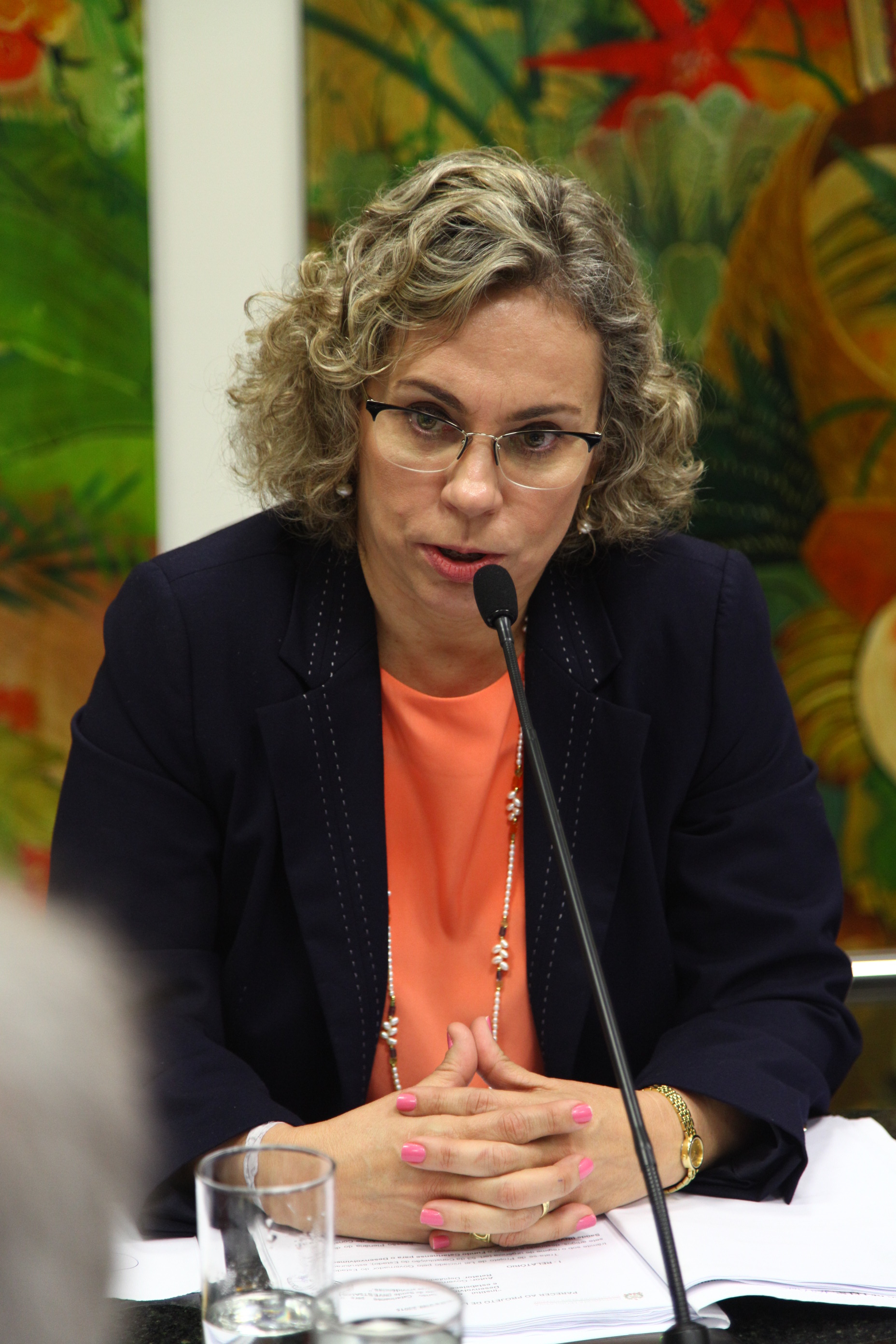 Comissão de Saúde - Deputada Ana Paula Lima (PT)