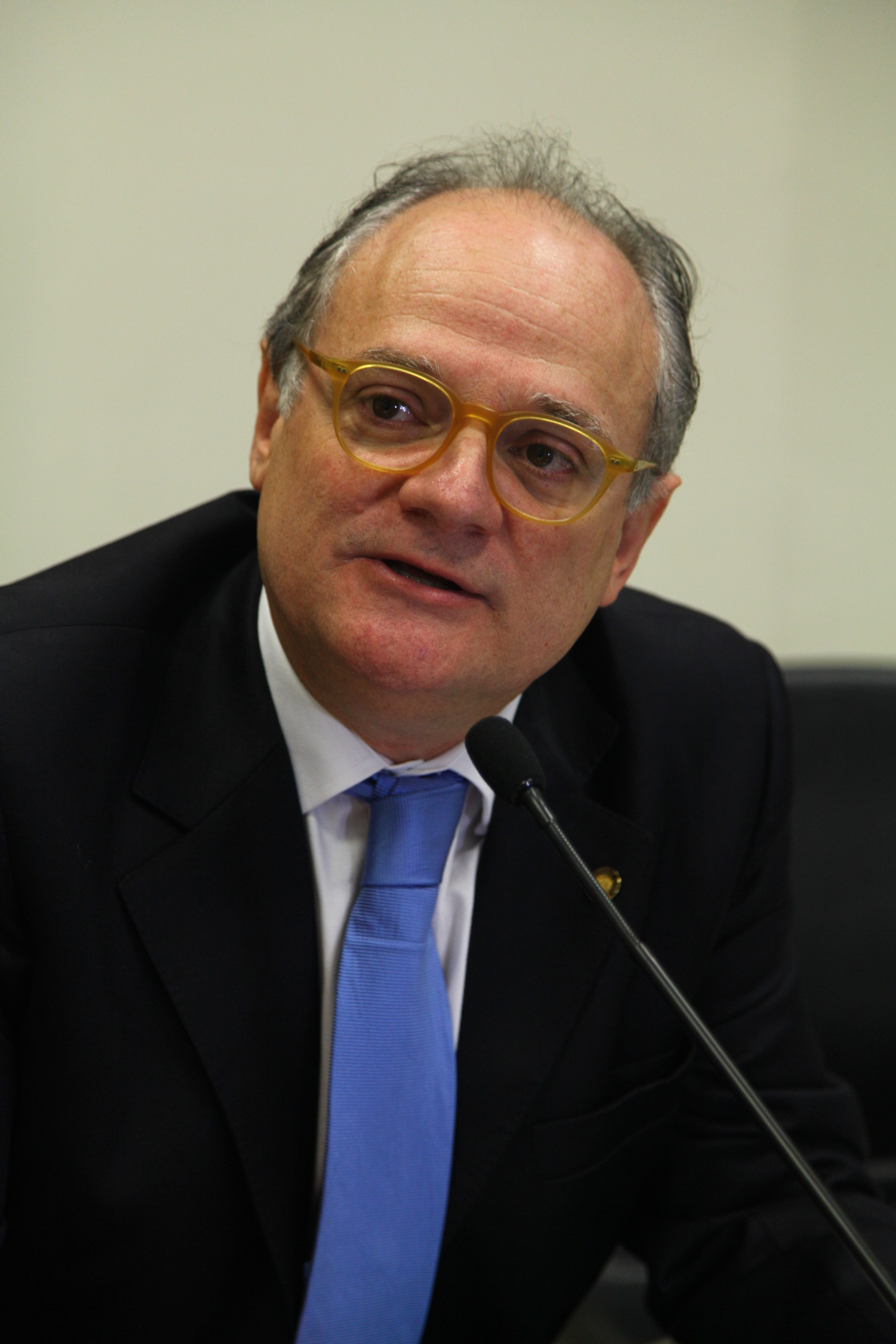 Comissão da Criança e do Adolescente - Deputado Vicente Caropreso (PSDB)