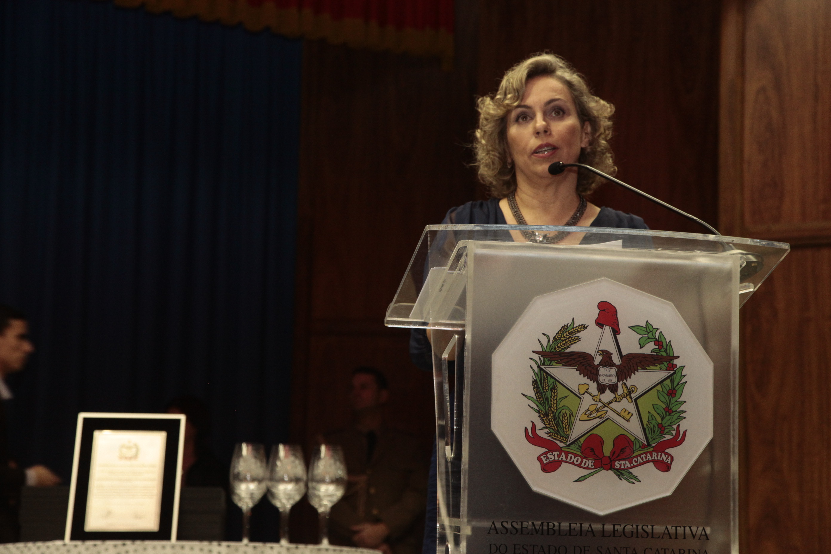 Sessão Solene em homenagem à Associação de Pais e Amigos dos Excepcionais (APAE) de Blumenau pela passagem dos seus 50 anos. Foto: Miriam Zomer/Agência AL