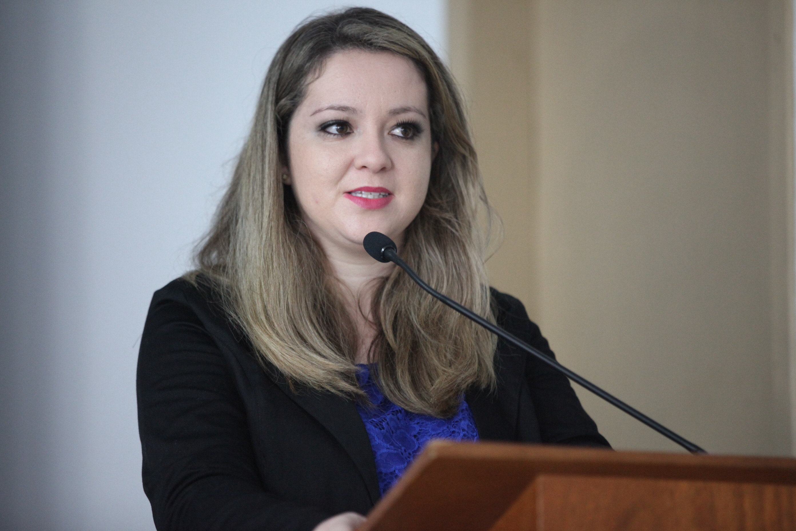 Comissão de Defesa dos Direitos da Pessoa com Deficiência promove seminário sobre autismo em Araranguá. Foto: Fábio Queiroz / Agência AL