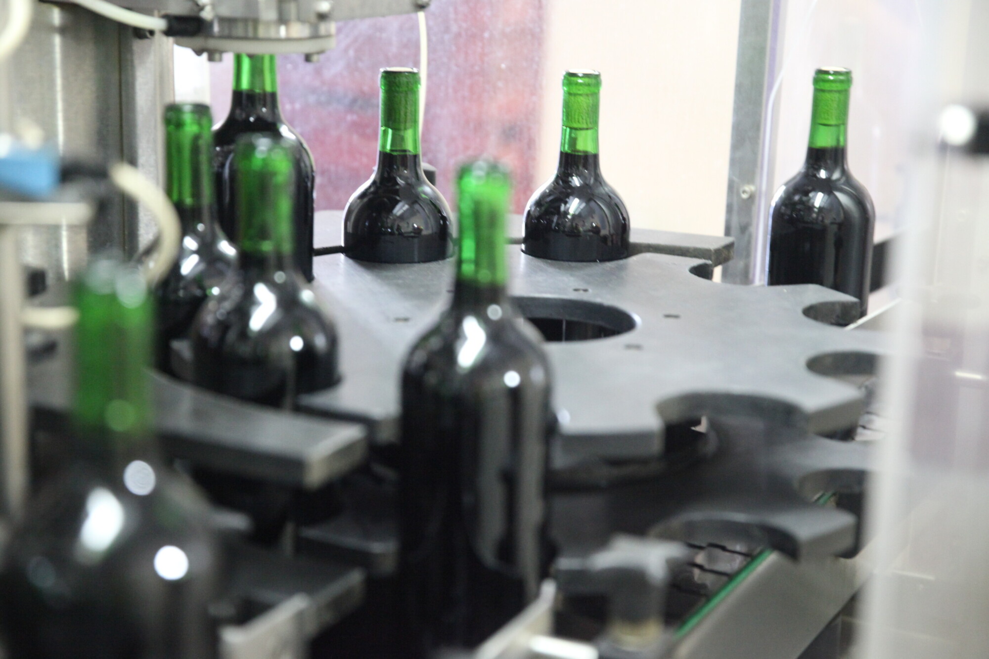 O processo de envazamento do vinho é mecanizado. FOTO: Fábio Queiroz / Agência AL