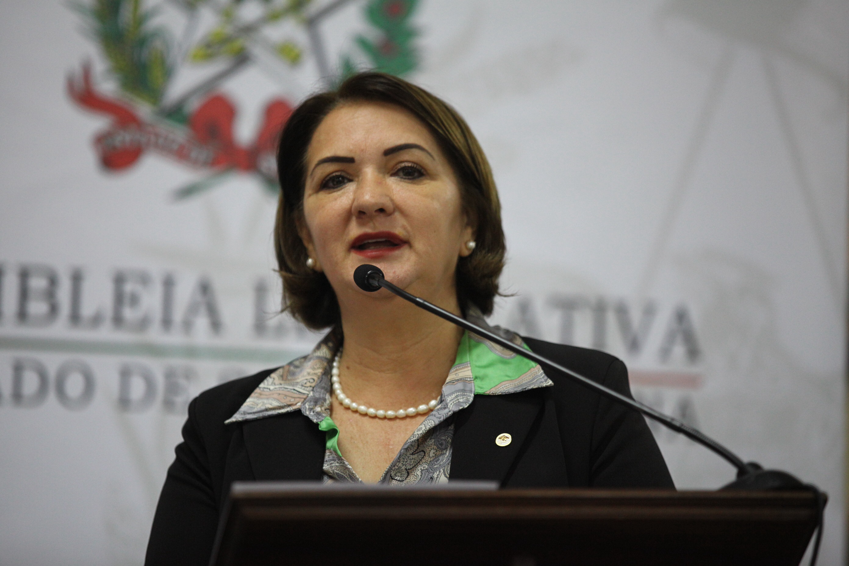 Janice Krasniak - I Seminário de Saúde e Prevenção da Região Carbonífera 