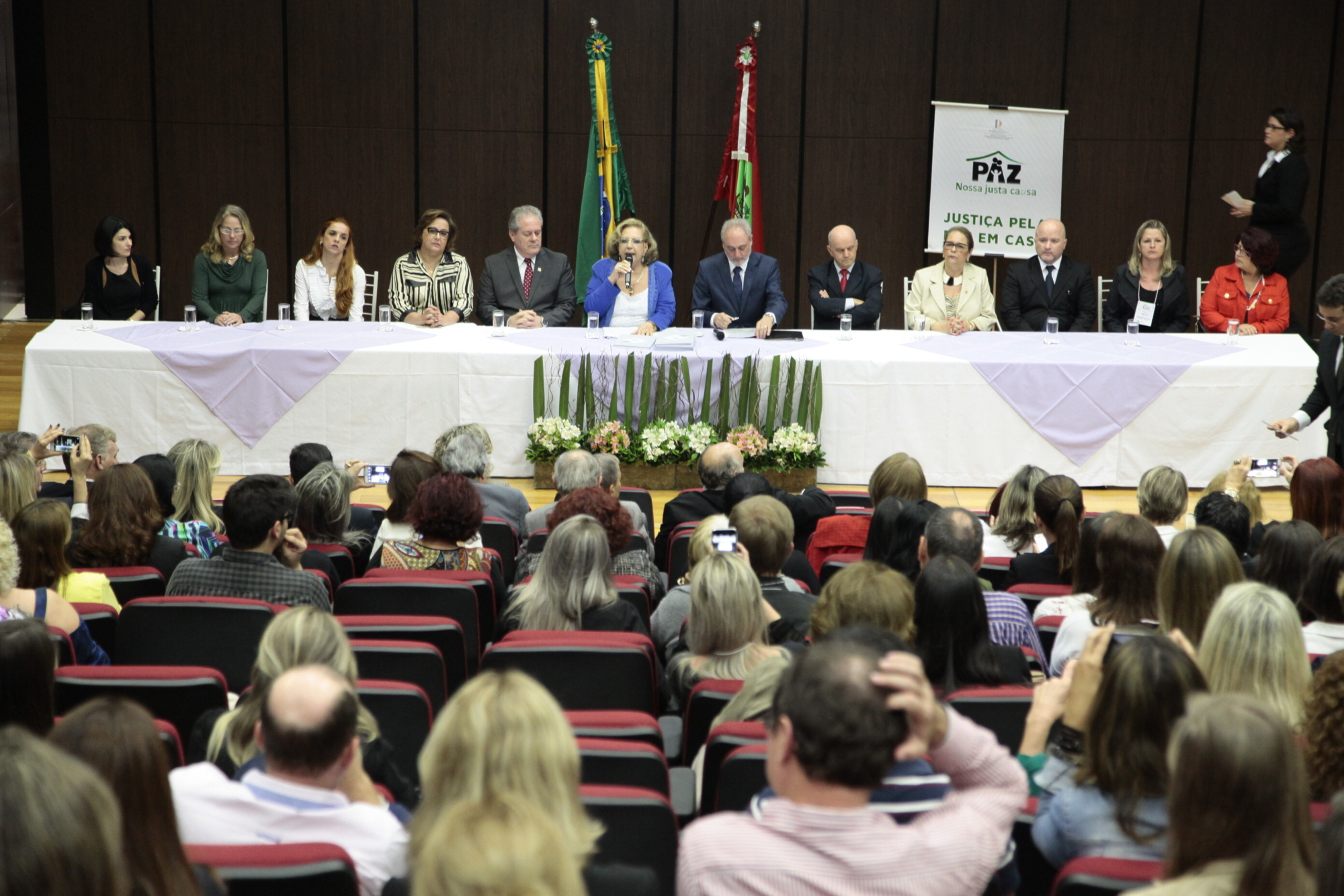 Deputadas apoiam campanha de combate à violência doméstica