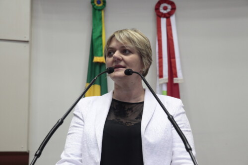 Deputada Luciane enfatiza que SDRs precisam ser extintas