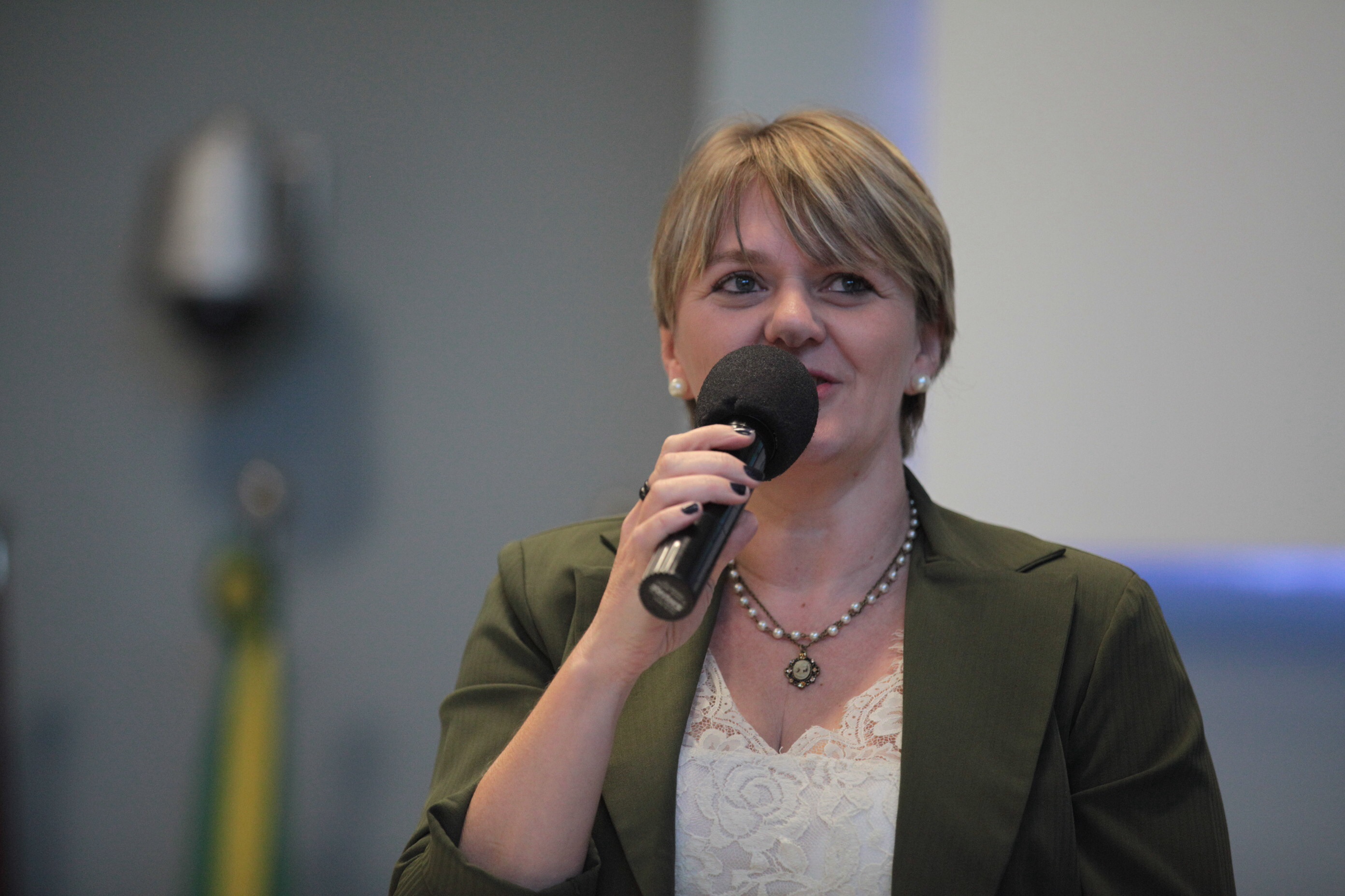 Audiência Pública - Plano Estadual de Educação - Deputada Luciane Carminatti (PT)