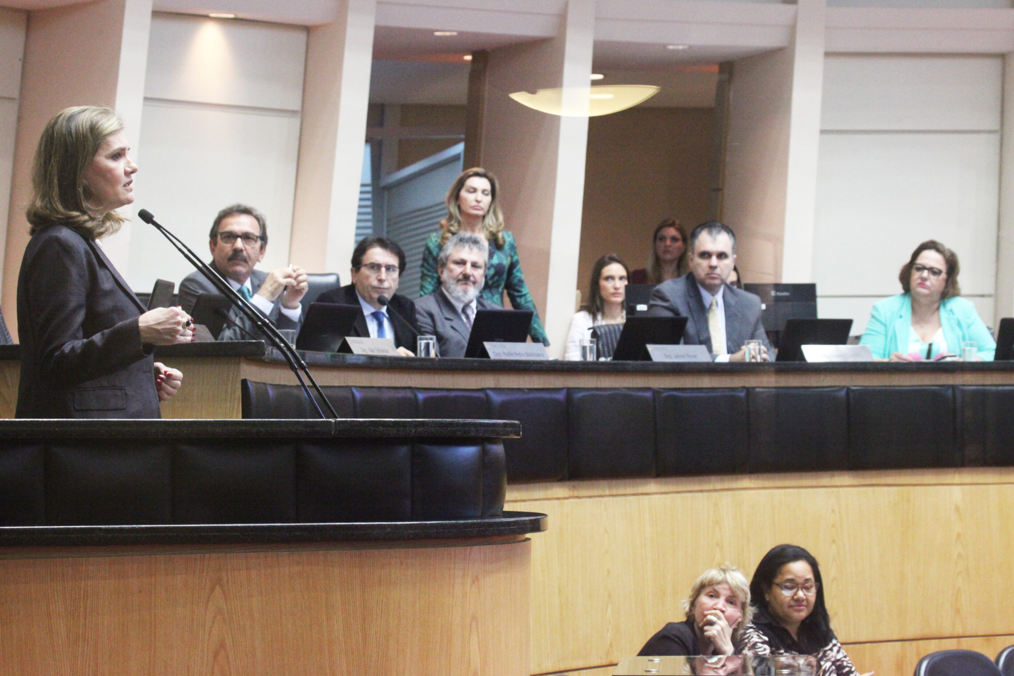 Desembargadora pede apoio de deputados no combate ao trabalho infantil
