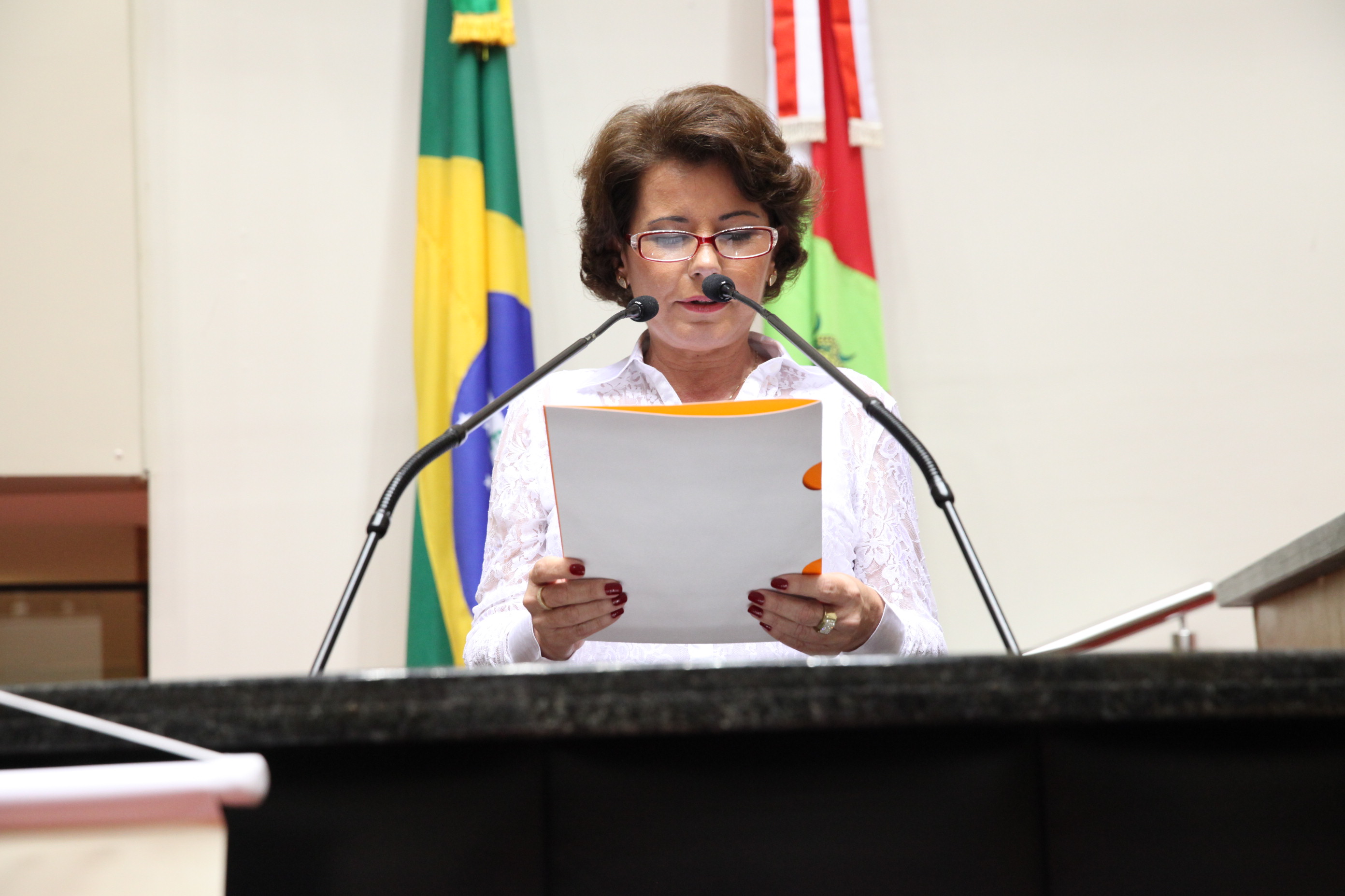 Sessão Especial em homenagem aos 60 anos da Aebas. Foto: Sessão Especial - Aebas