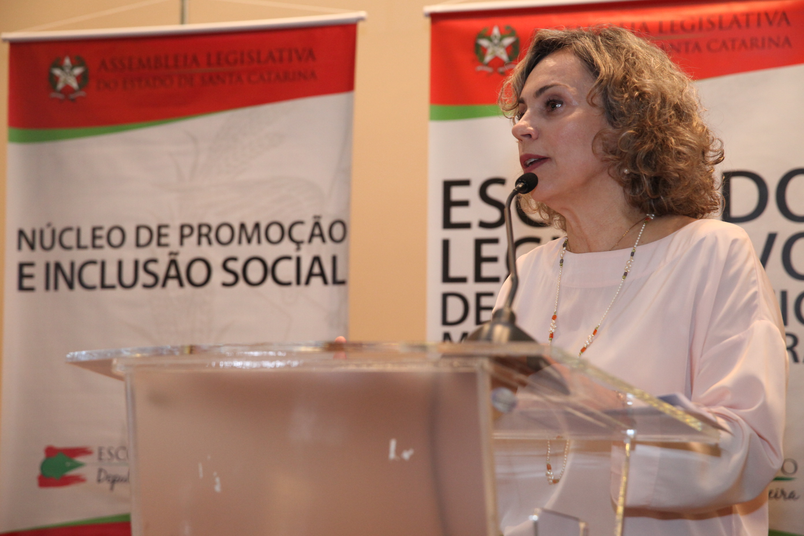 Seminário El Niño 2015. Deputada Ana Paula Lima (PT) . Foto: Fábio Queiroz / Agência AL