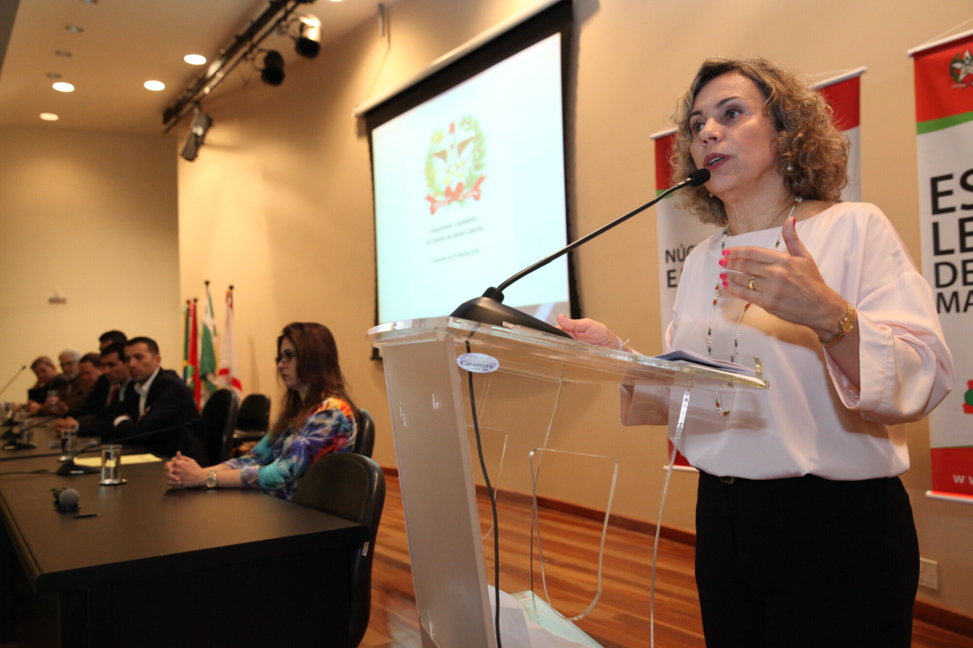 Deputada Ana Paula Lima