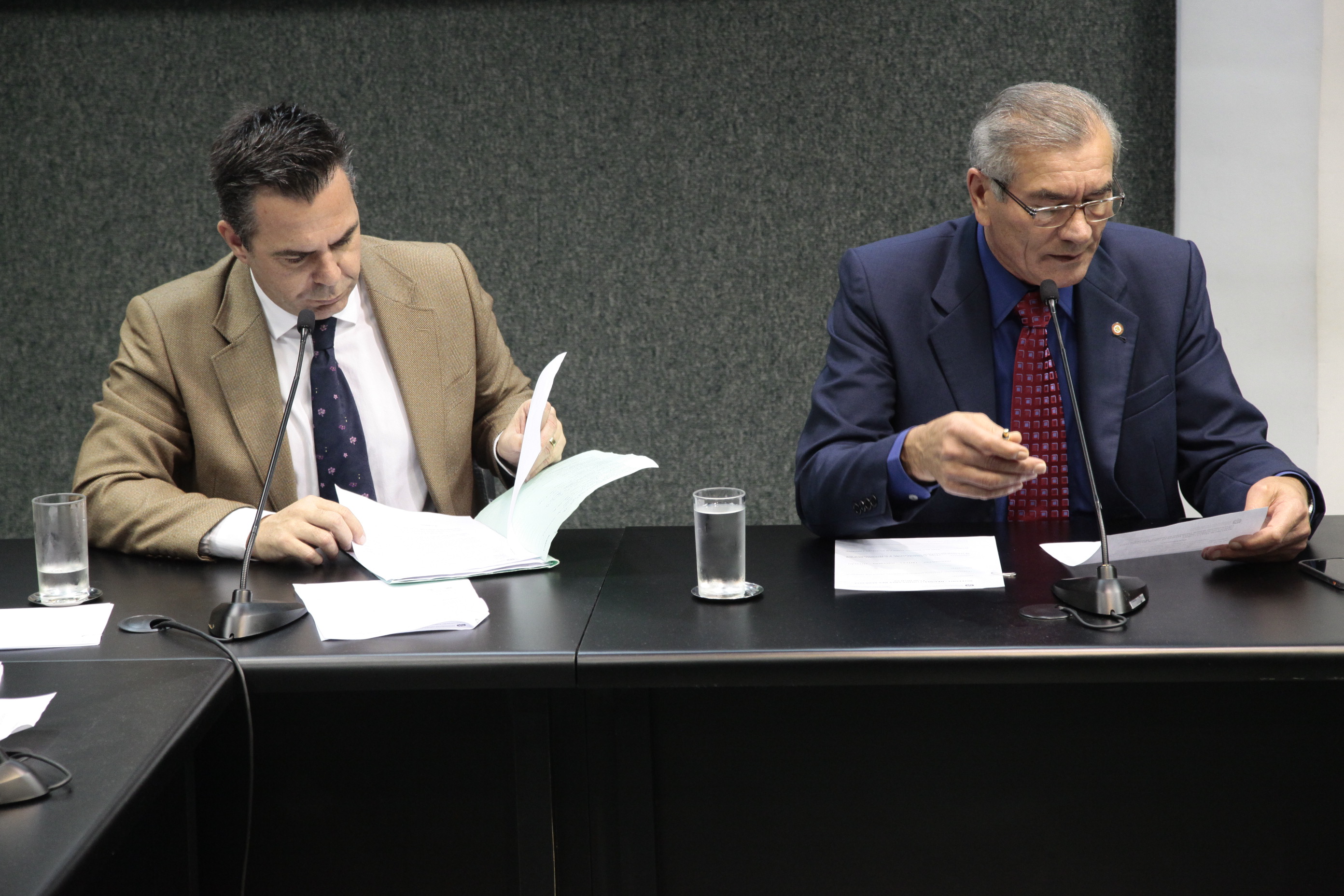 Reunião da Comissão de Economia, Ciência, Tecnologia, Minas e Energia. Foto: Miriam Zomer/Agência AL