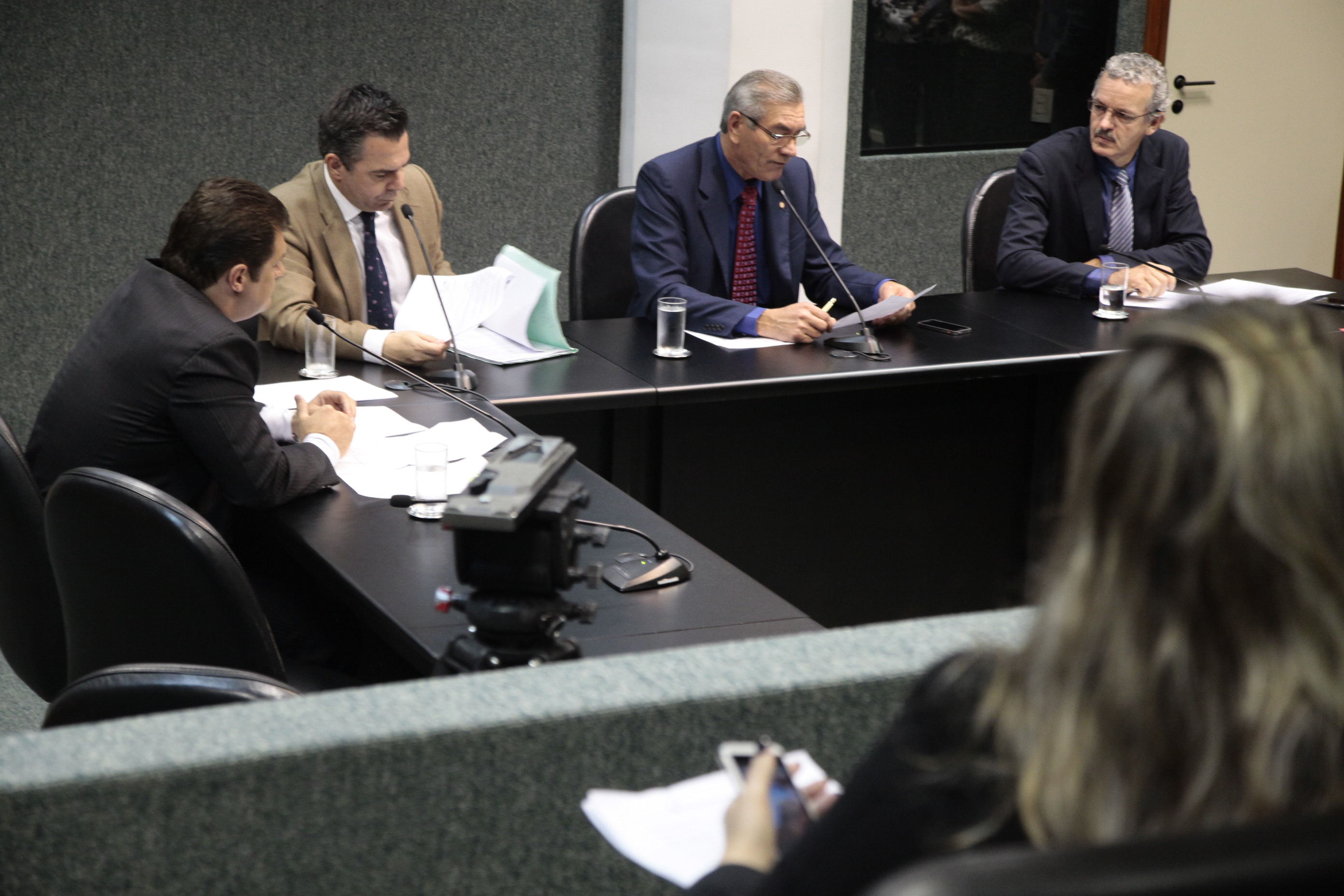 Reunião da Comissão de Economia, Ciência, Tecnologia, Minas e Energia. Foto: Miriam Zomer/Agência AL