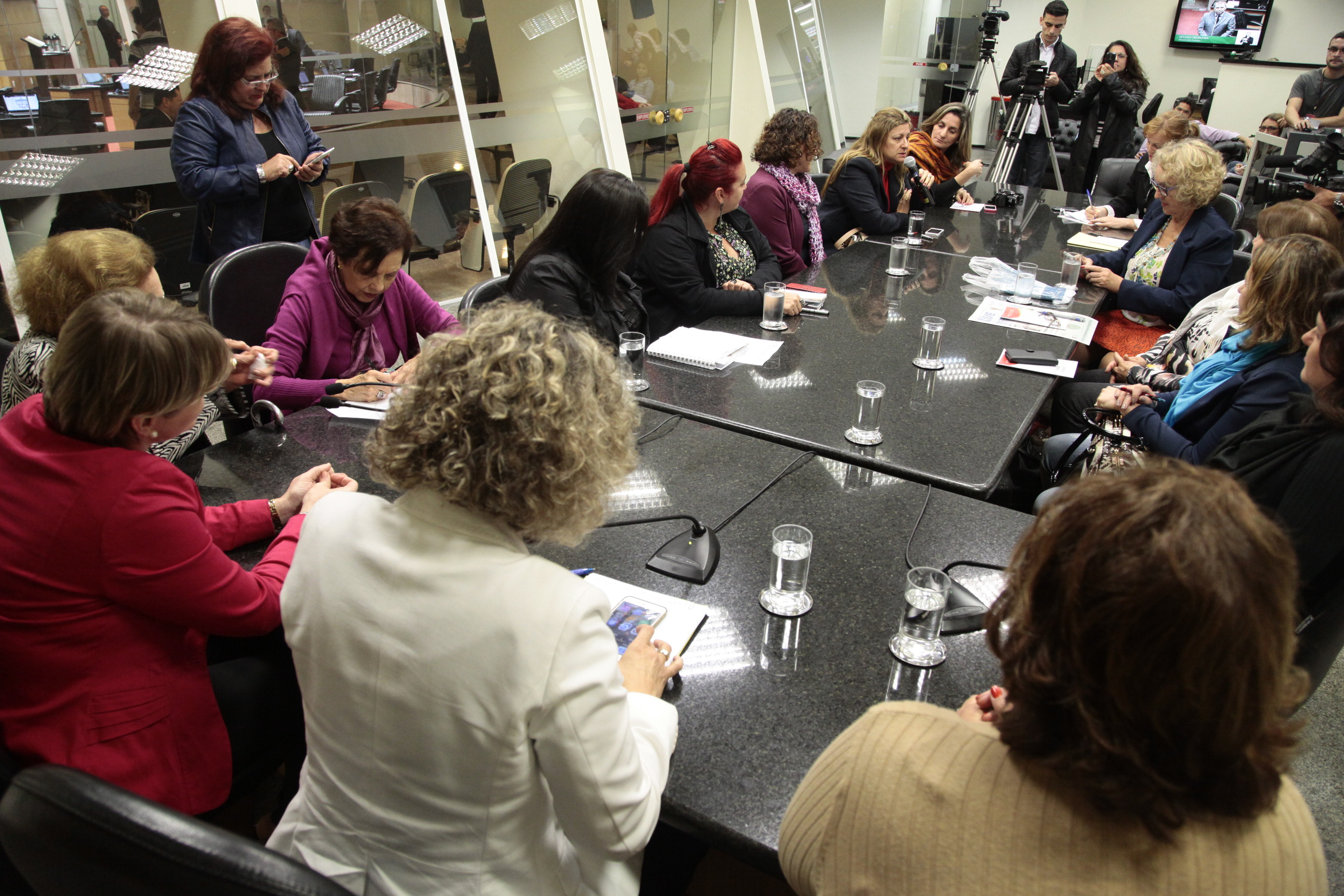 Reunião da Bancada Feminina. Foto: Miriam Zomer/Agência AL
