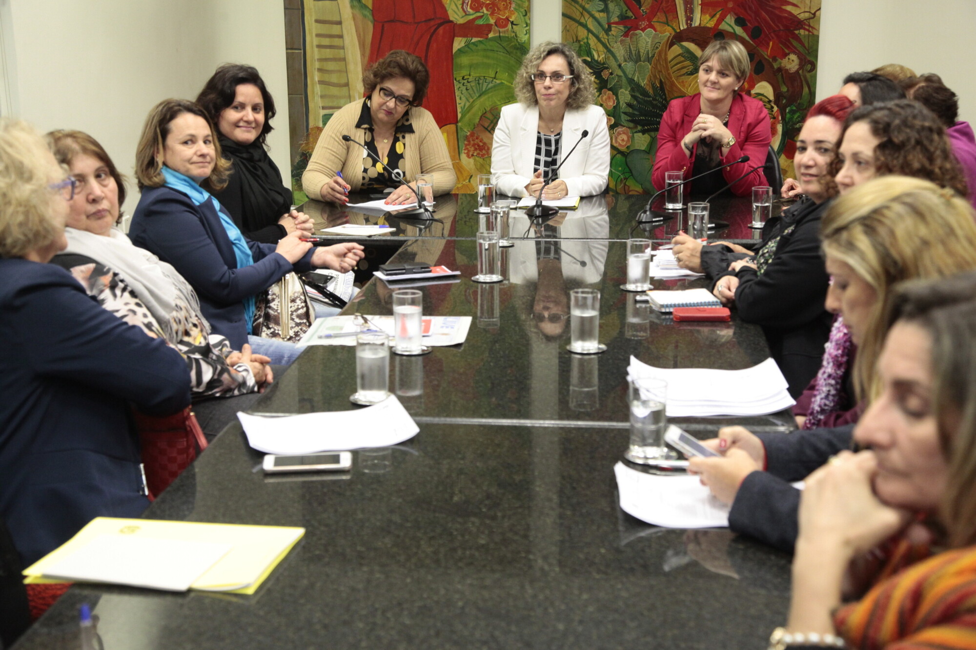 Bancada feminina contrária a PLC do executivo