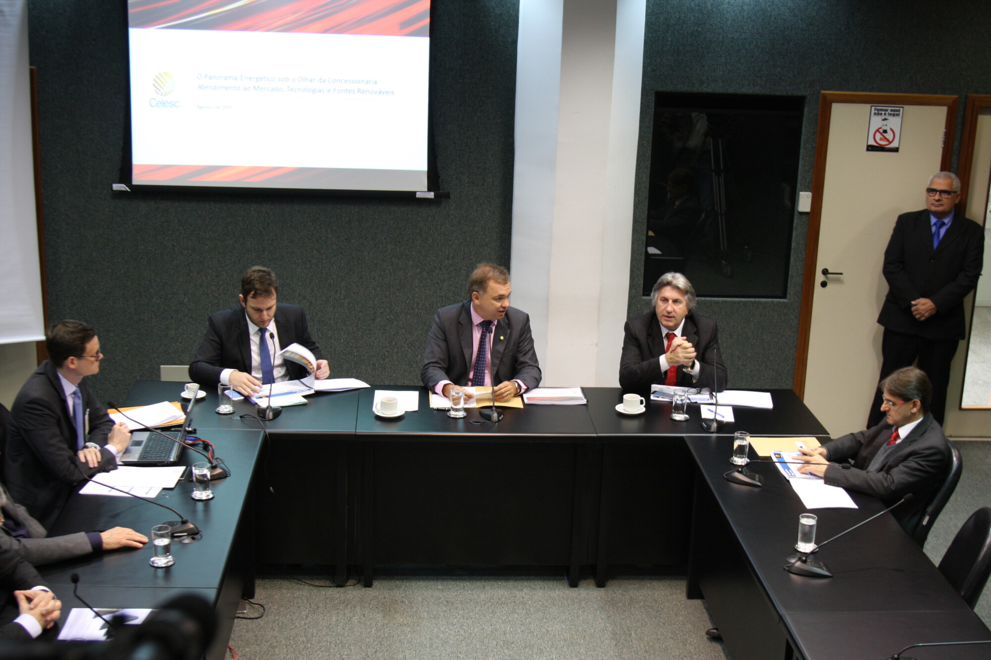 Presidente da Celesc expõe à comissão desafios do panorama energético