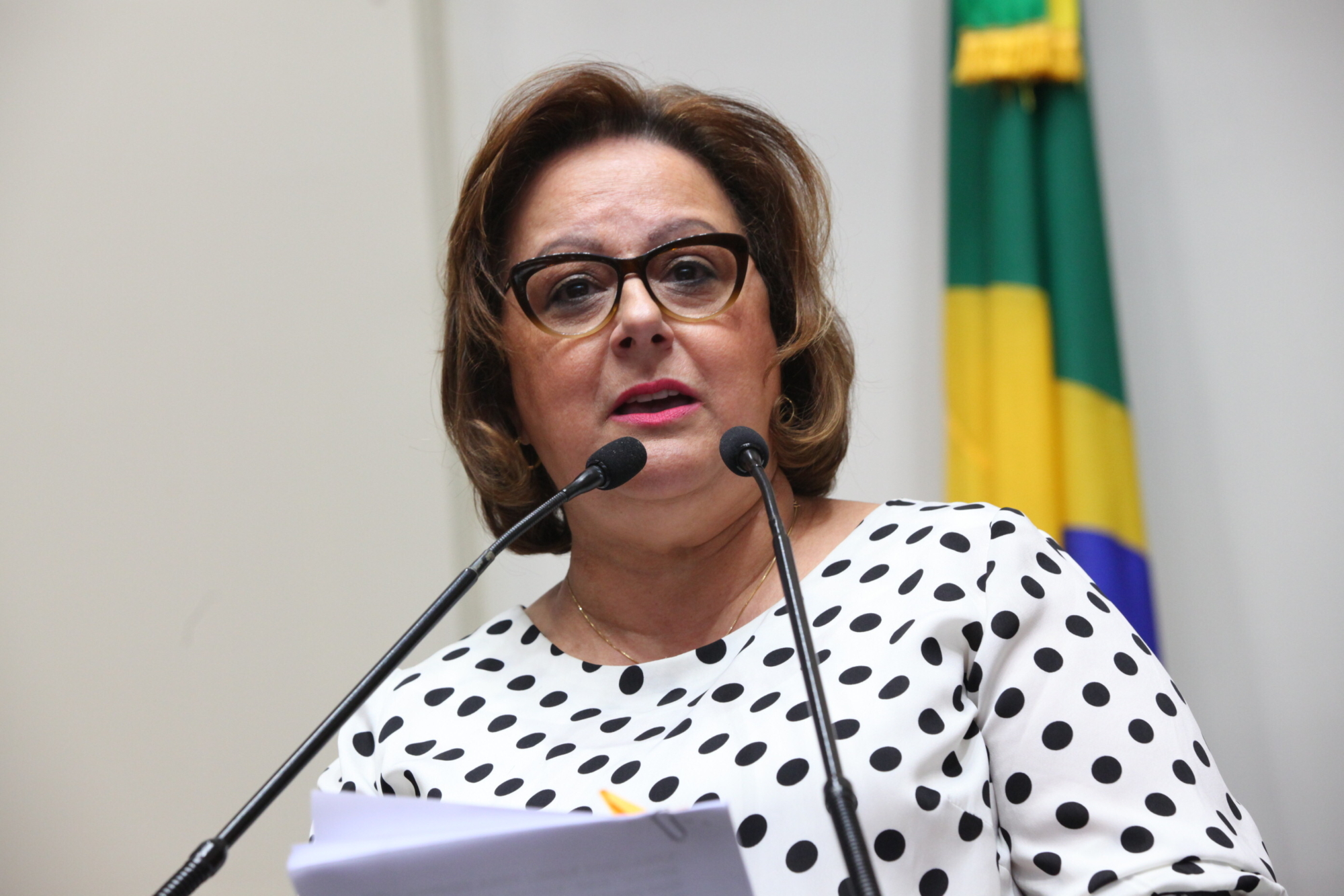 Dirce Heiderscheidt avalia trabalho na coordenação da Bancada Feminina